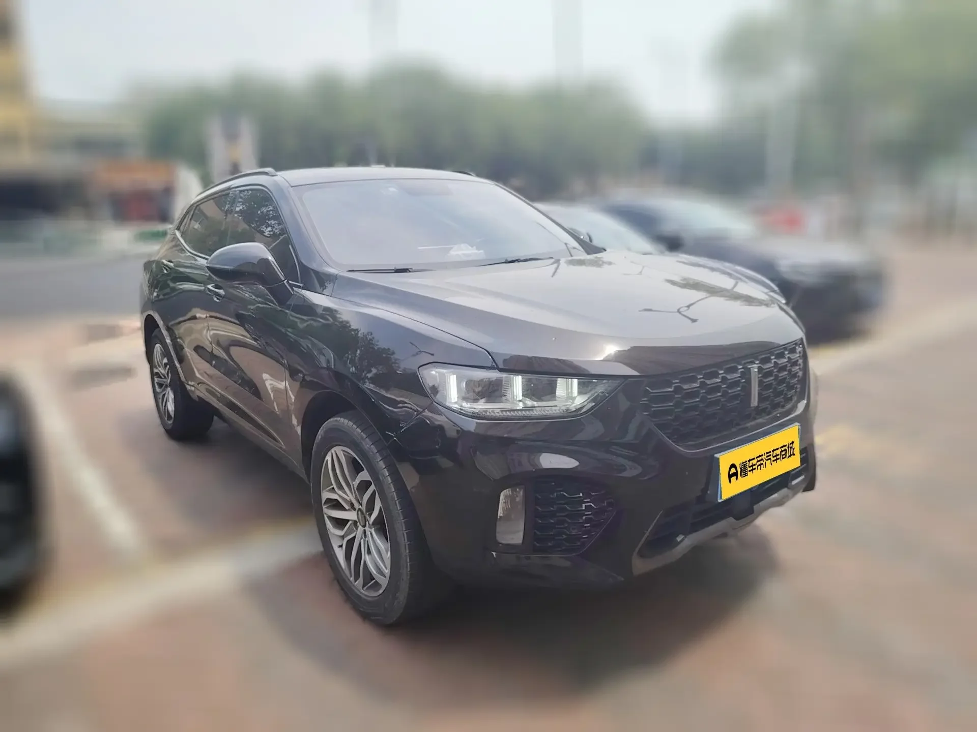 Wey Wei brand VV5