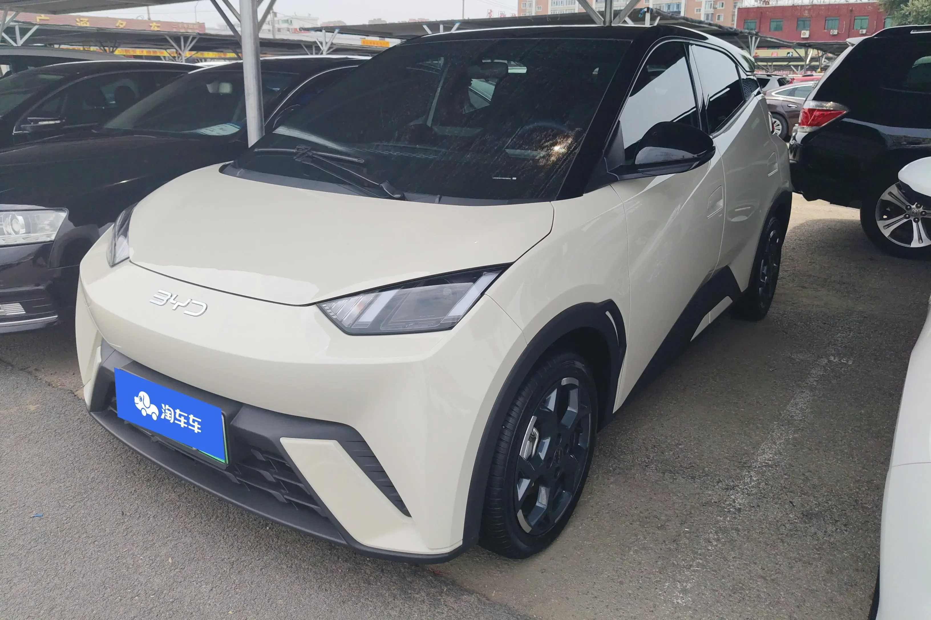 BYD seagull