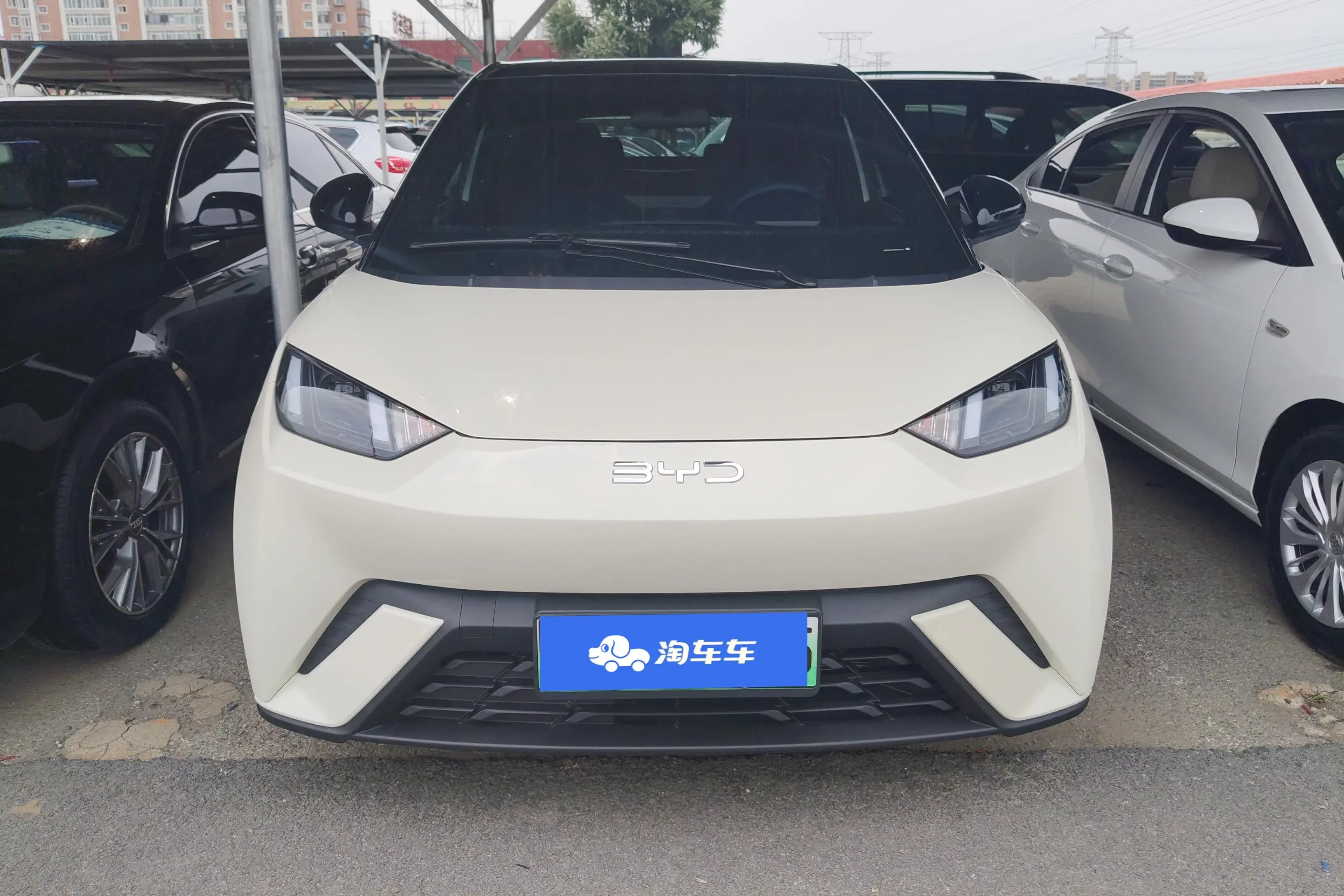 BYD seagull