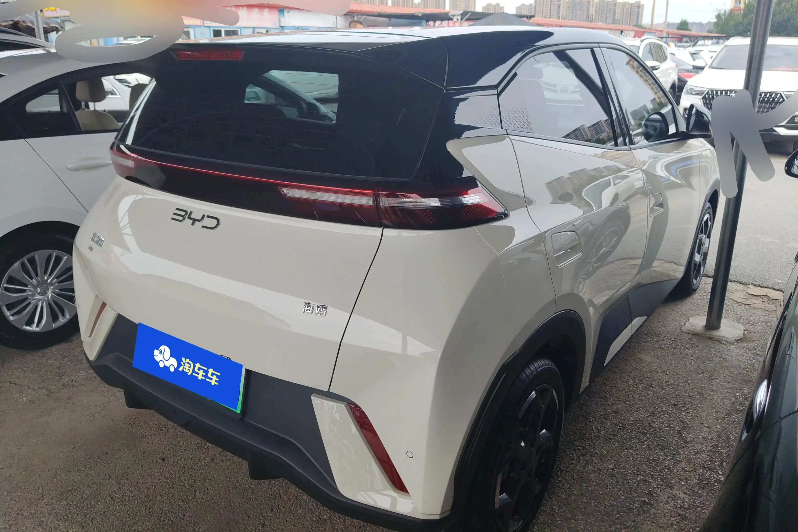 BYD seagull