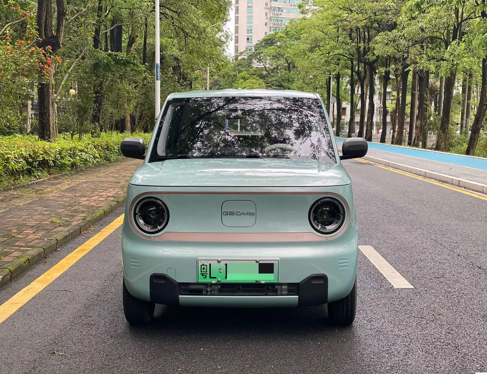 Geely panda