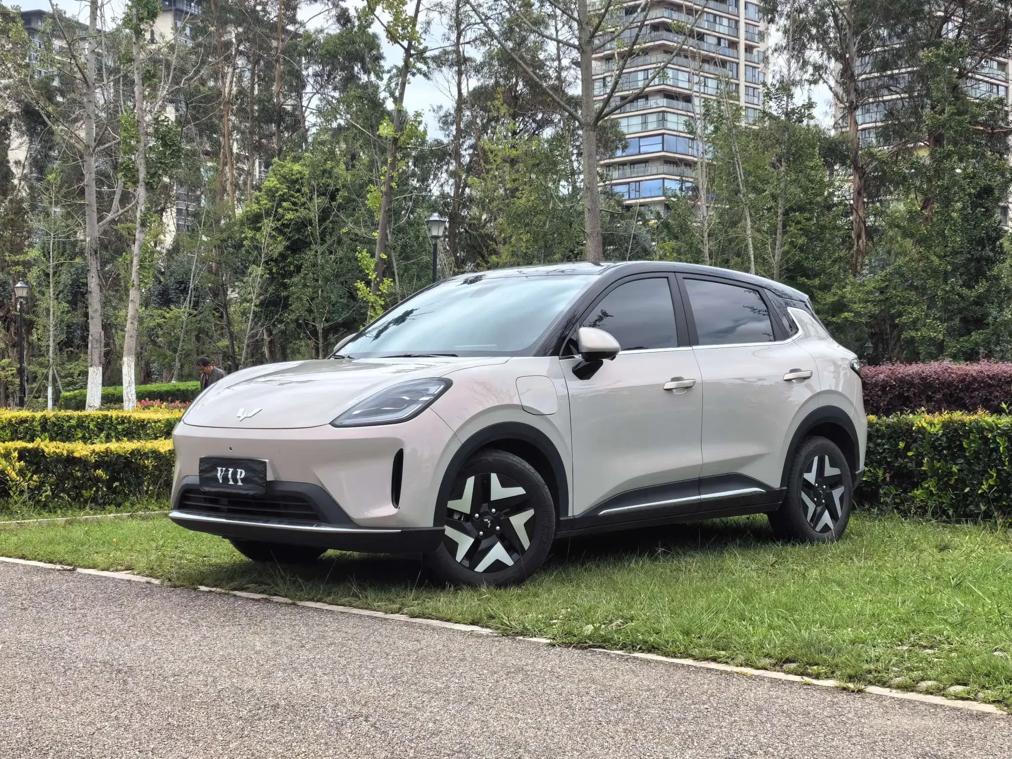 Wuling Bingo S