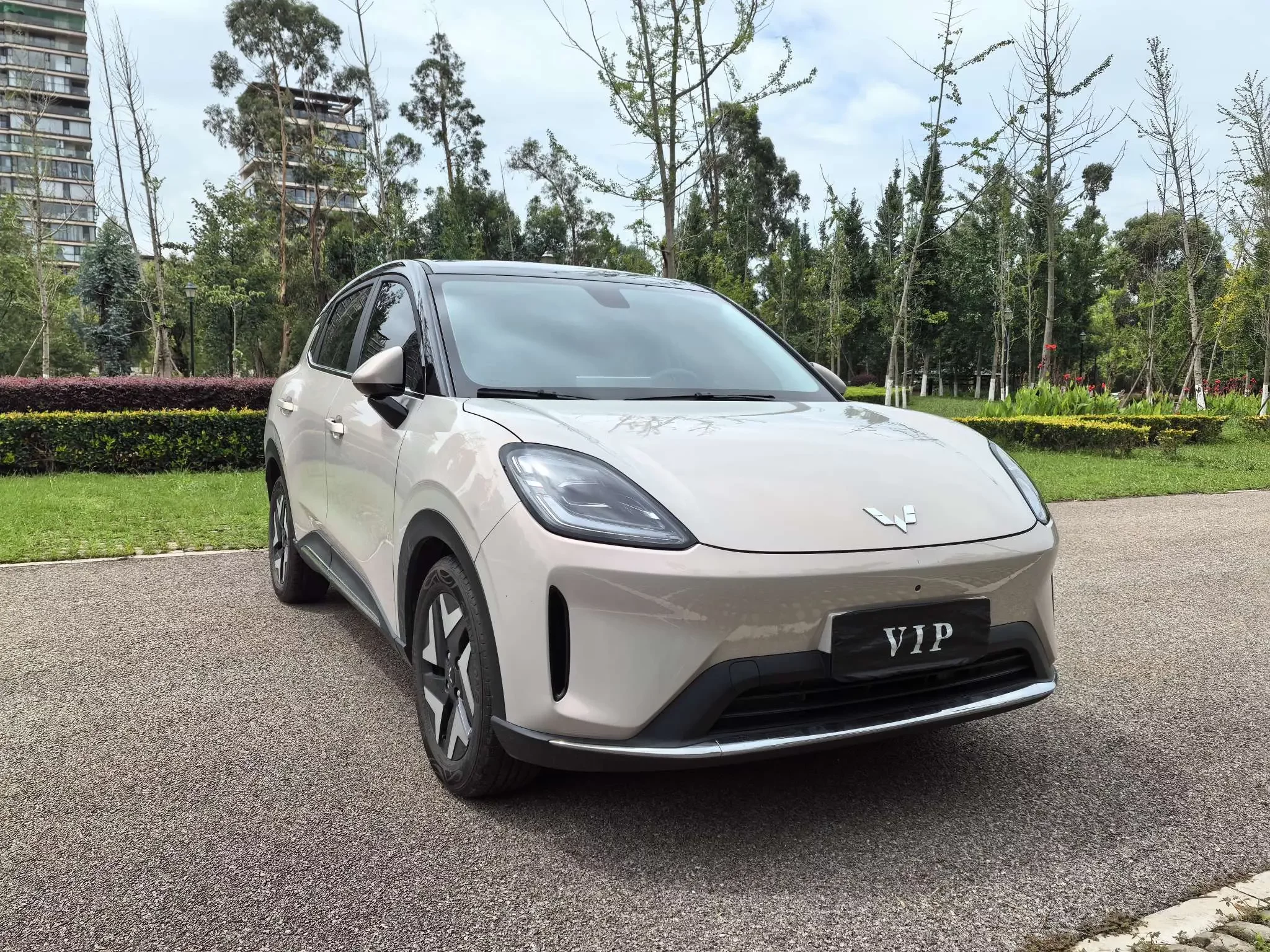 Wuling Bingo S