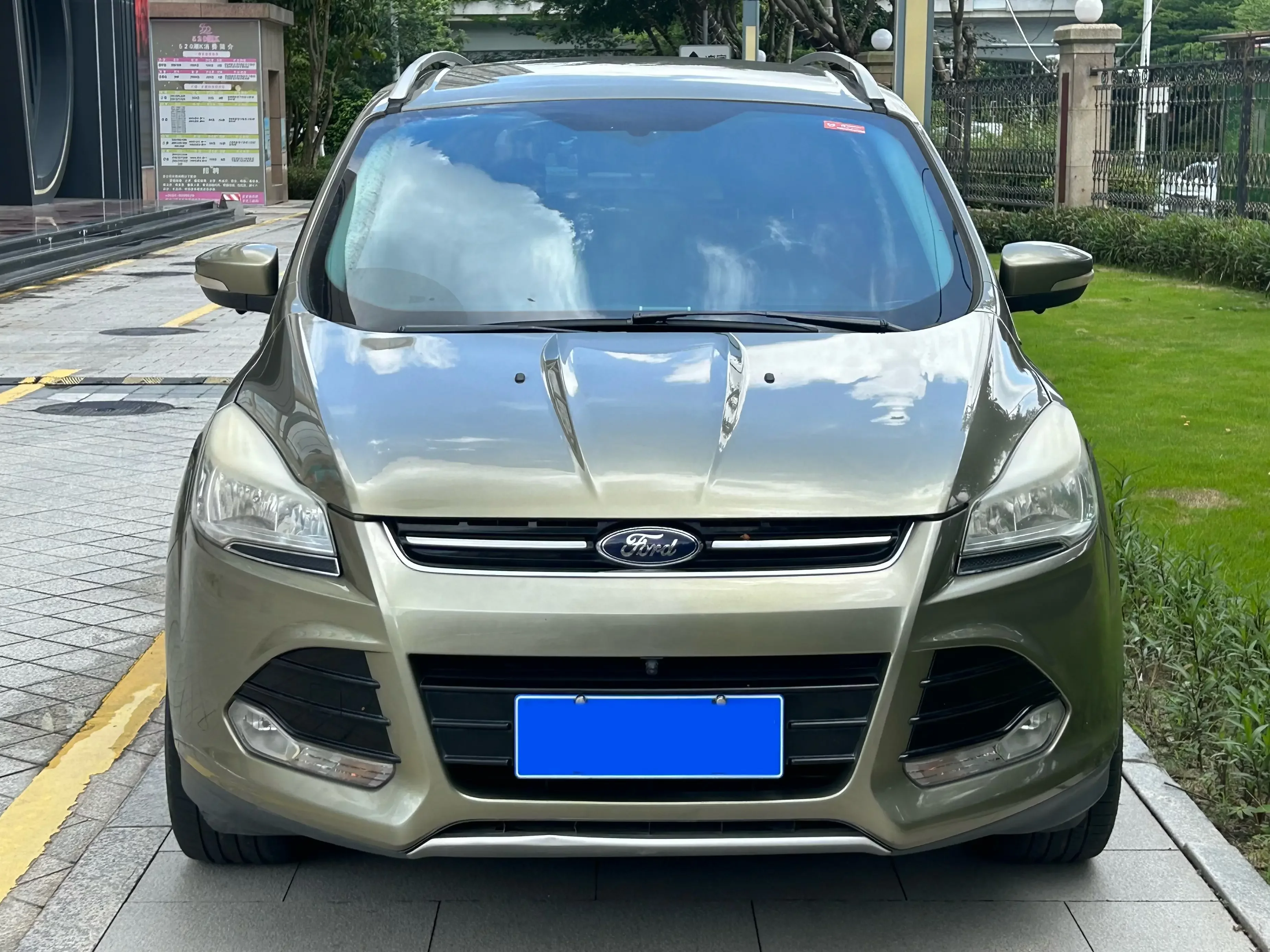 Ford wing tiger