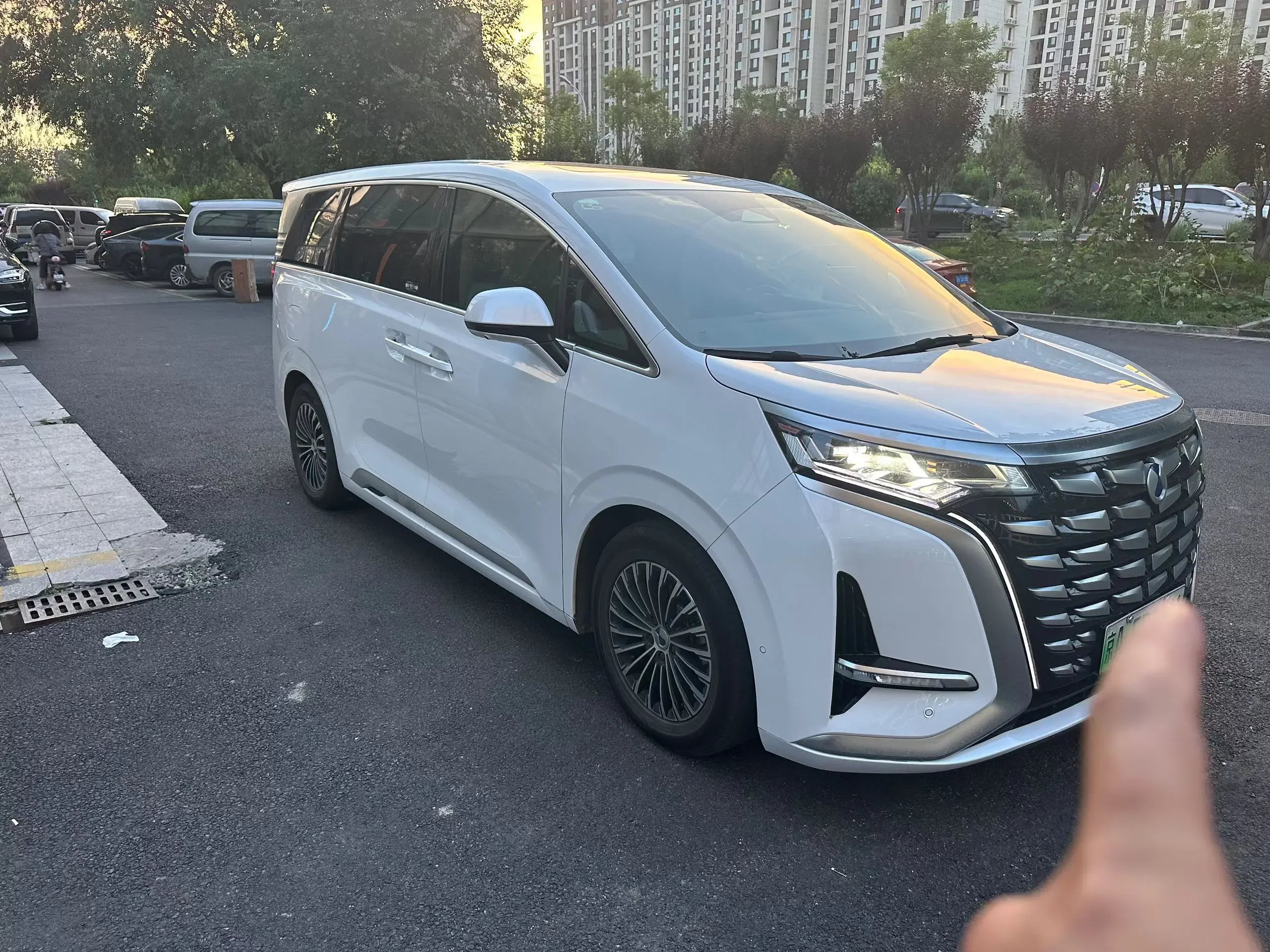 Denza D9 DM