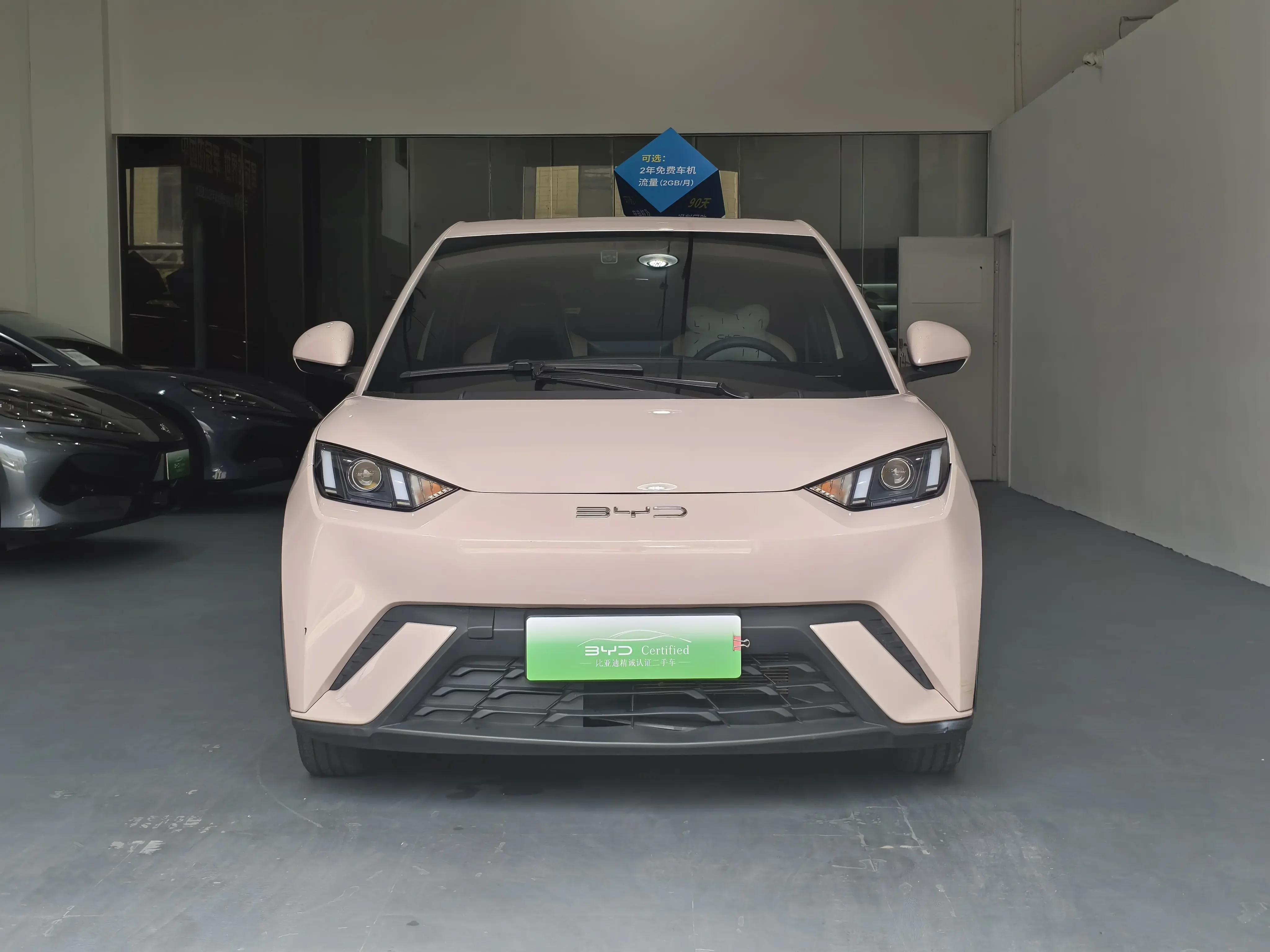 BYD seagull