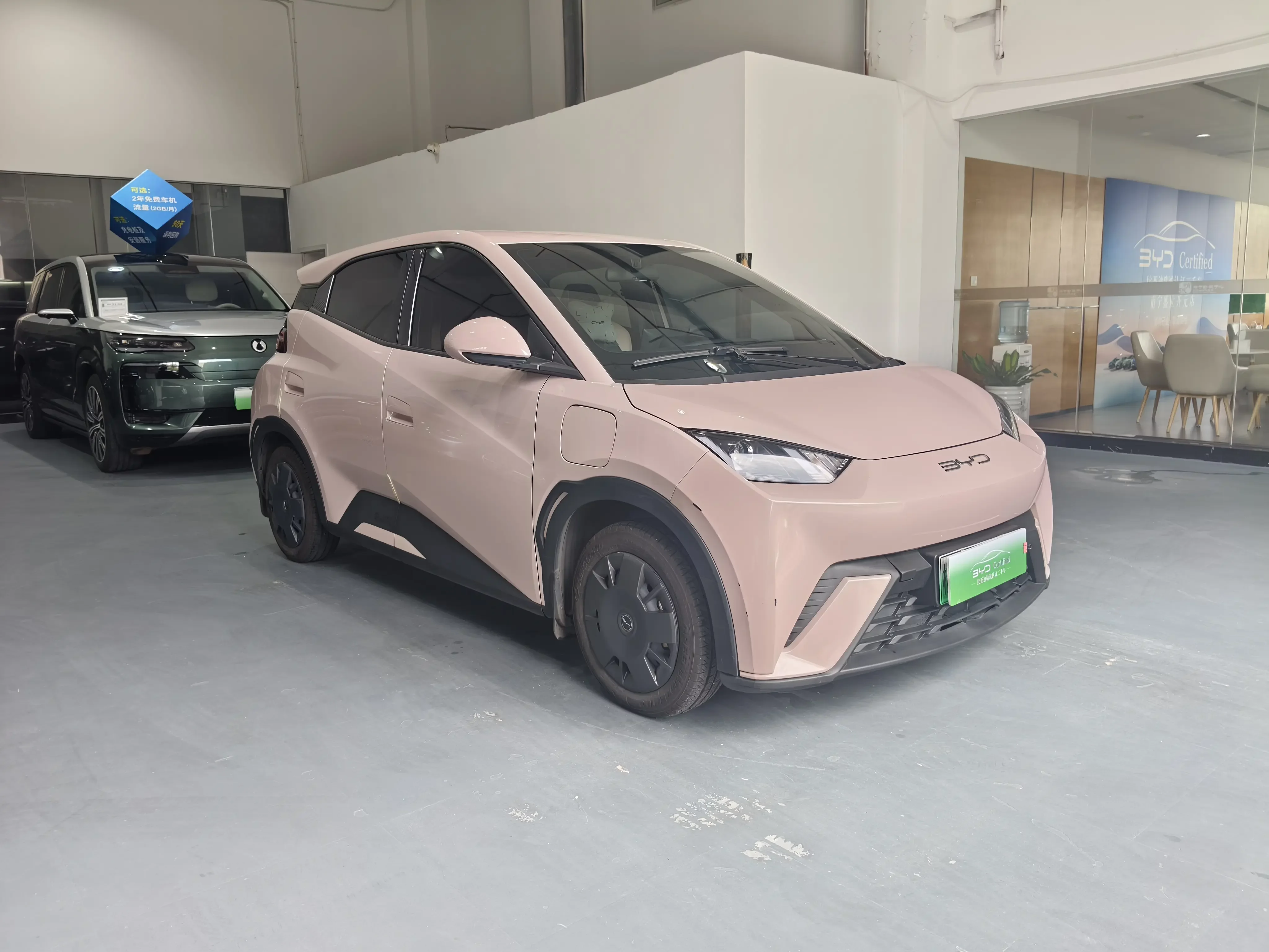 BYD seagull