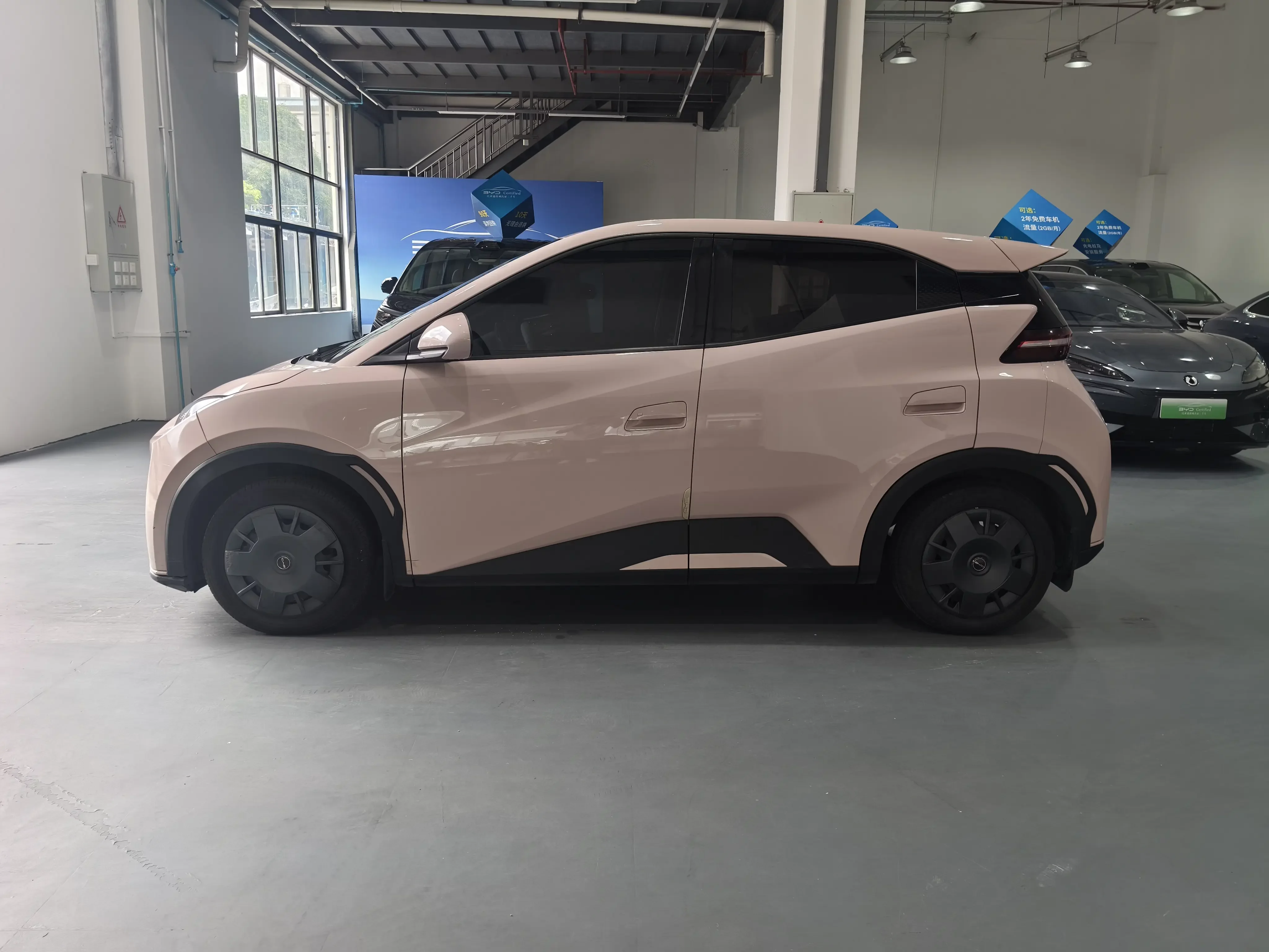 BYD seagull