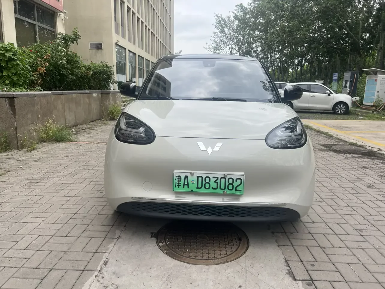 Wuling Bingo