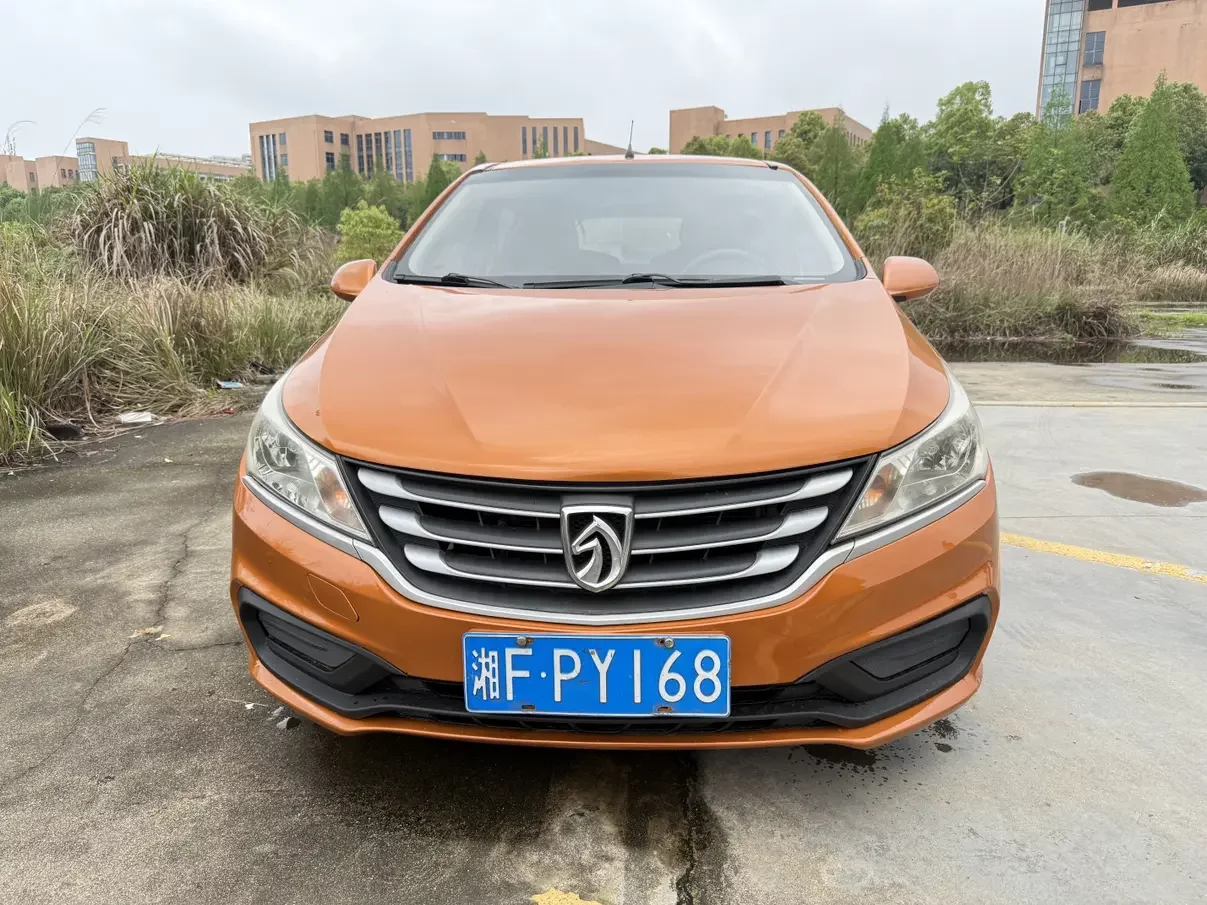 Baojun 310