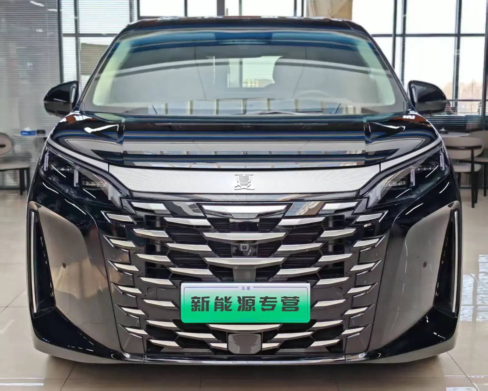 BYD summer