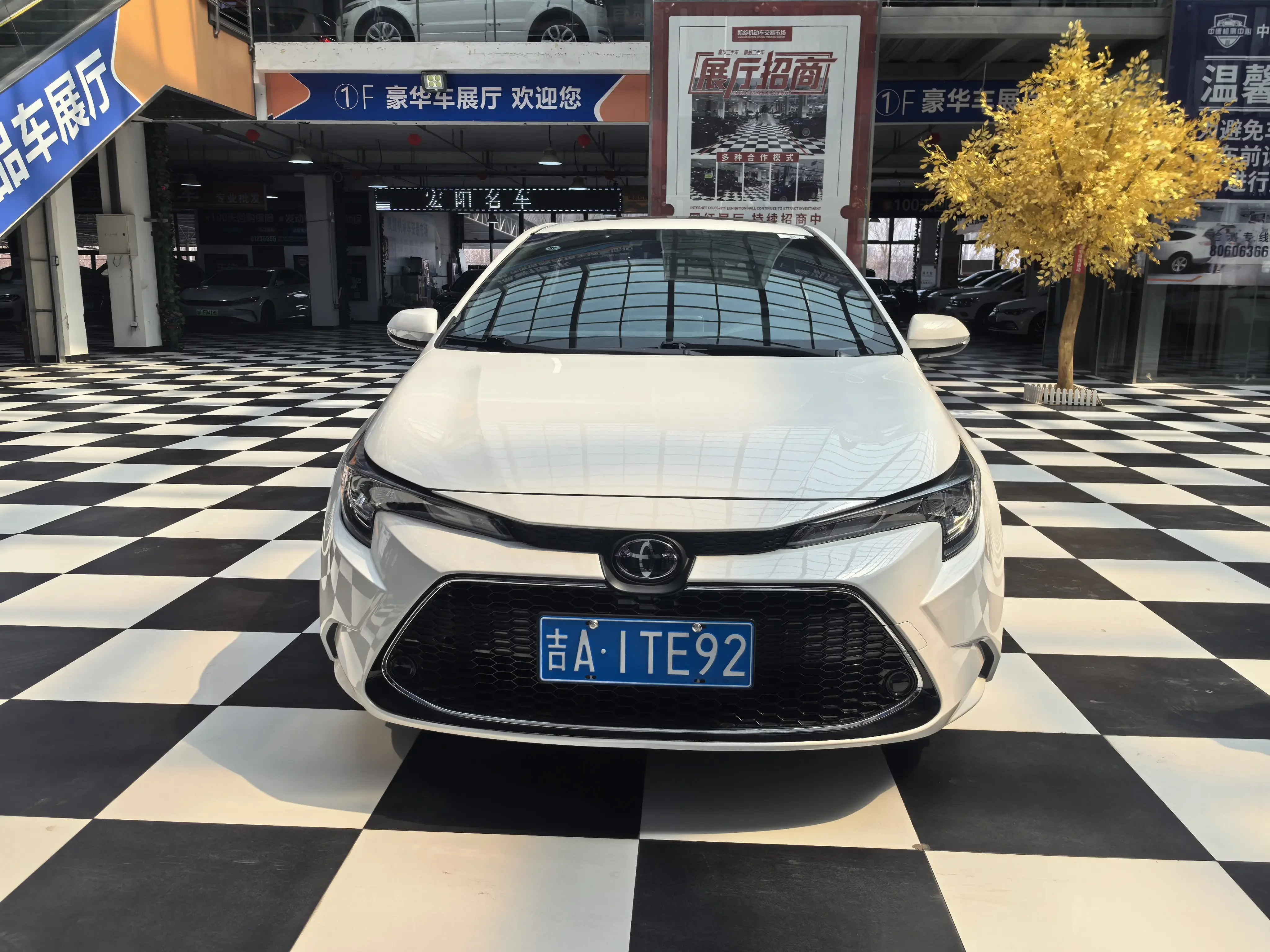 Toyota Levin