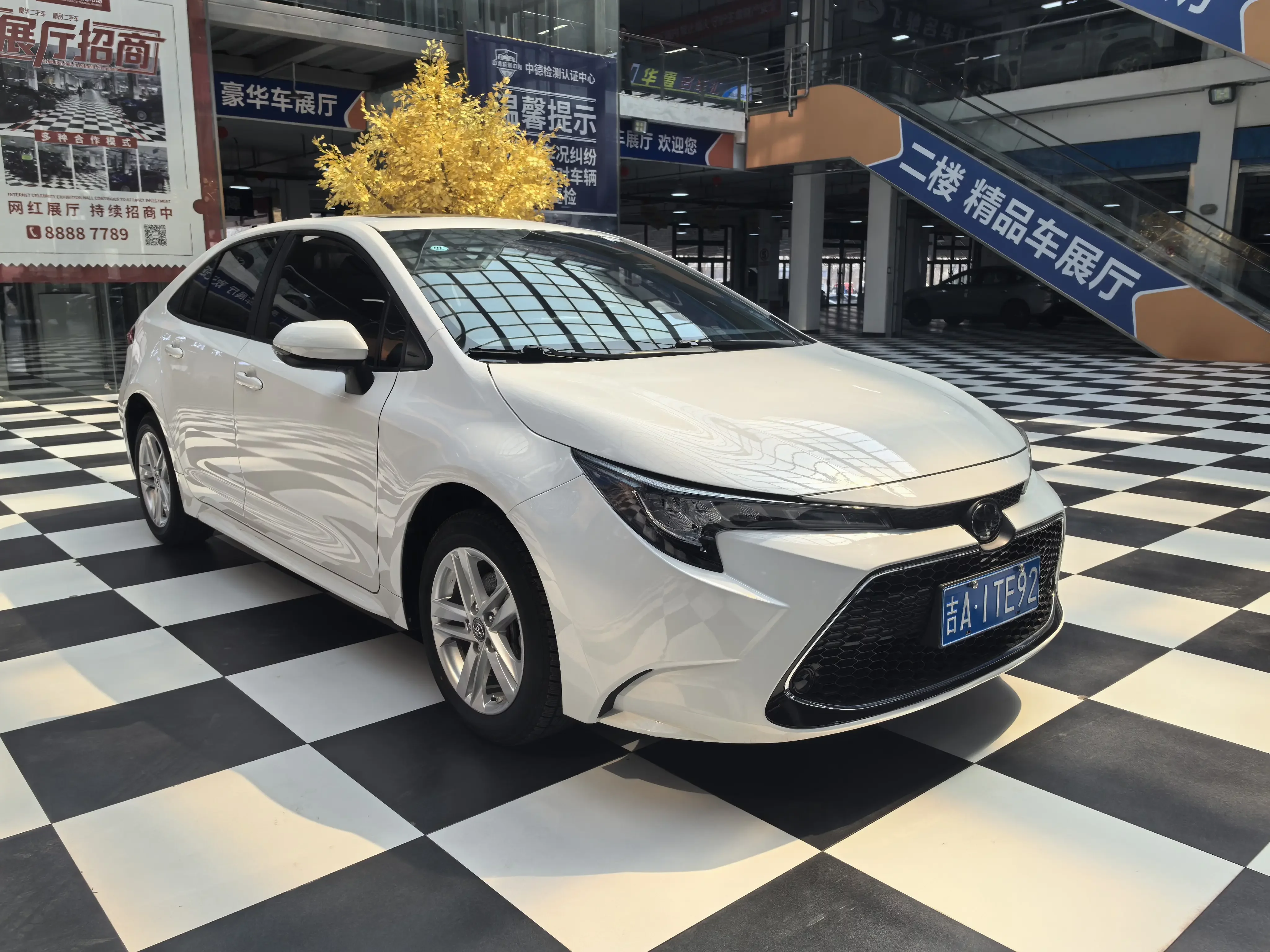 Toyota Levin