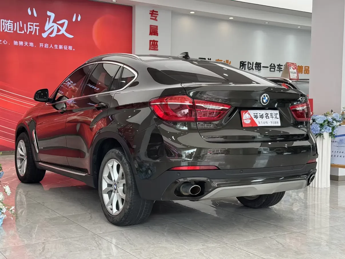 BMW X6
