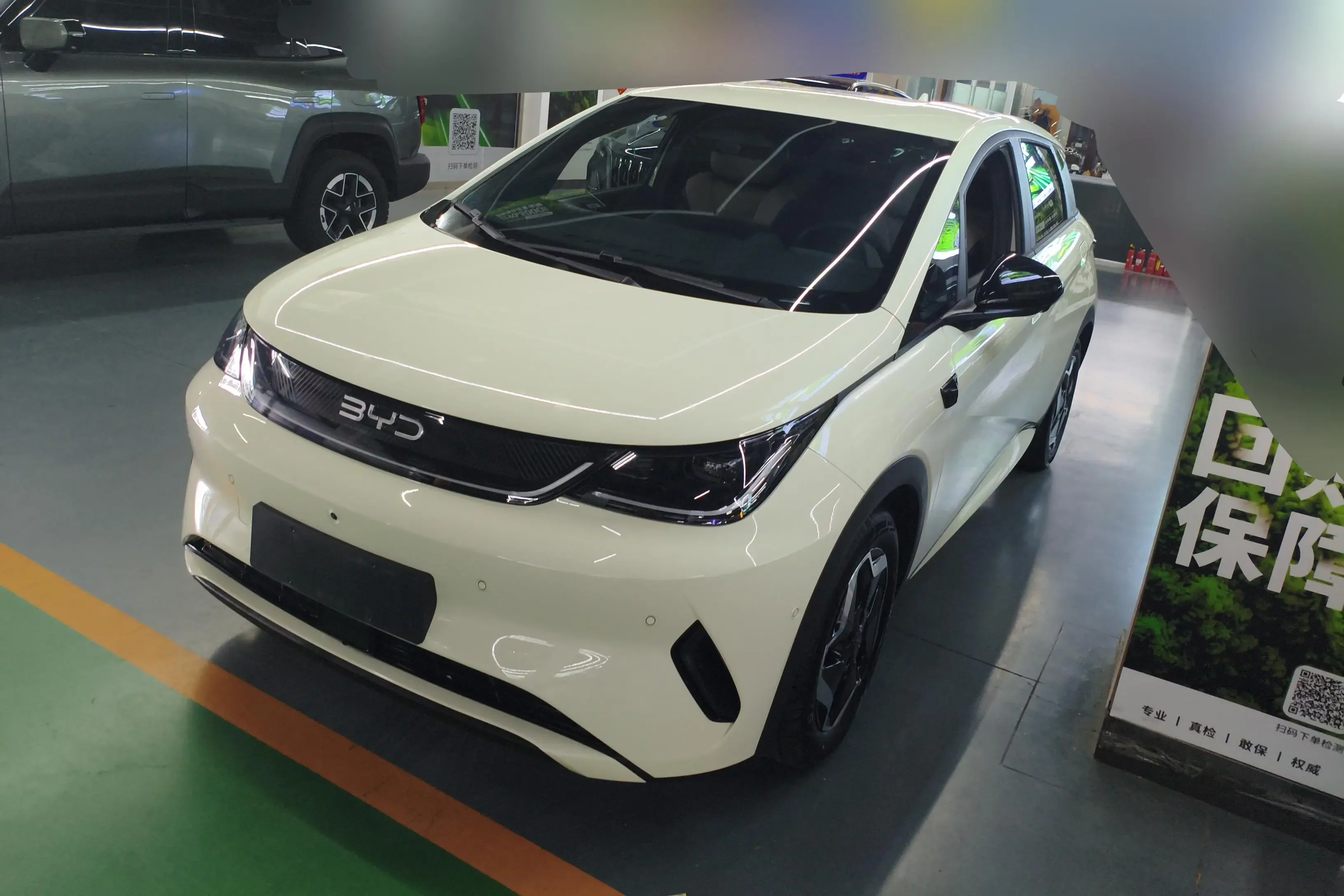 BYD dolphin