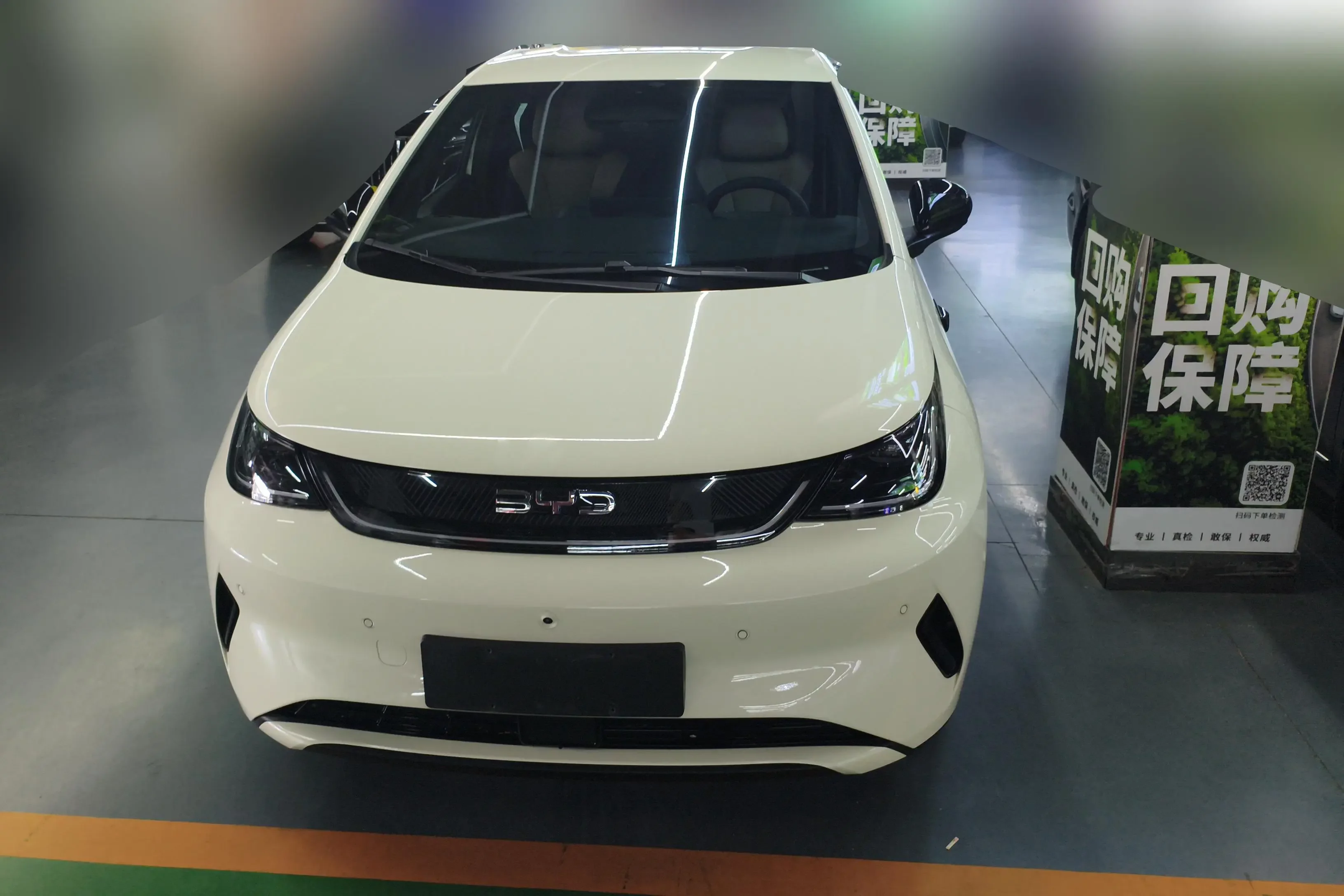 BYD dolphin