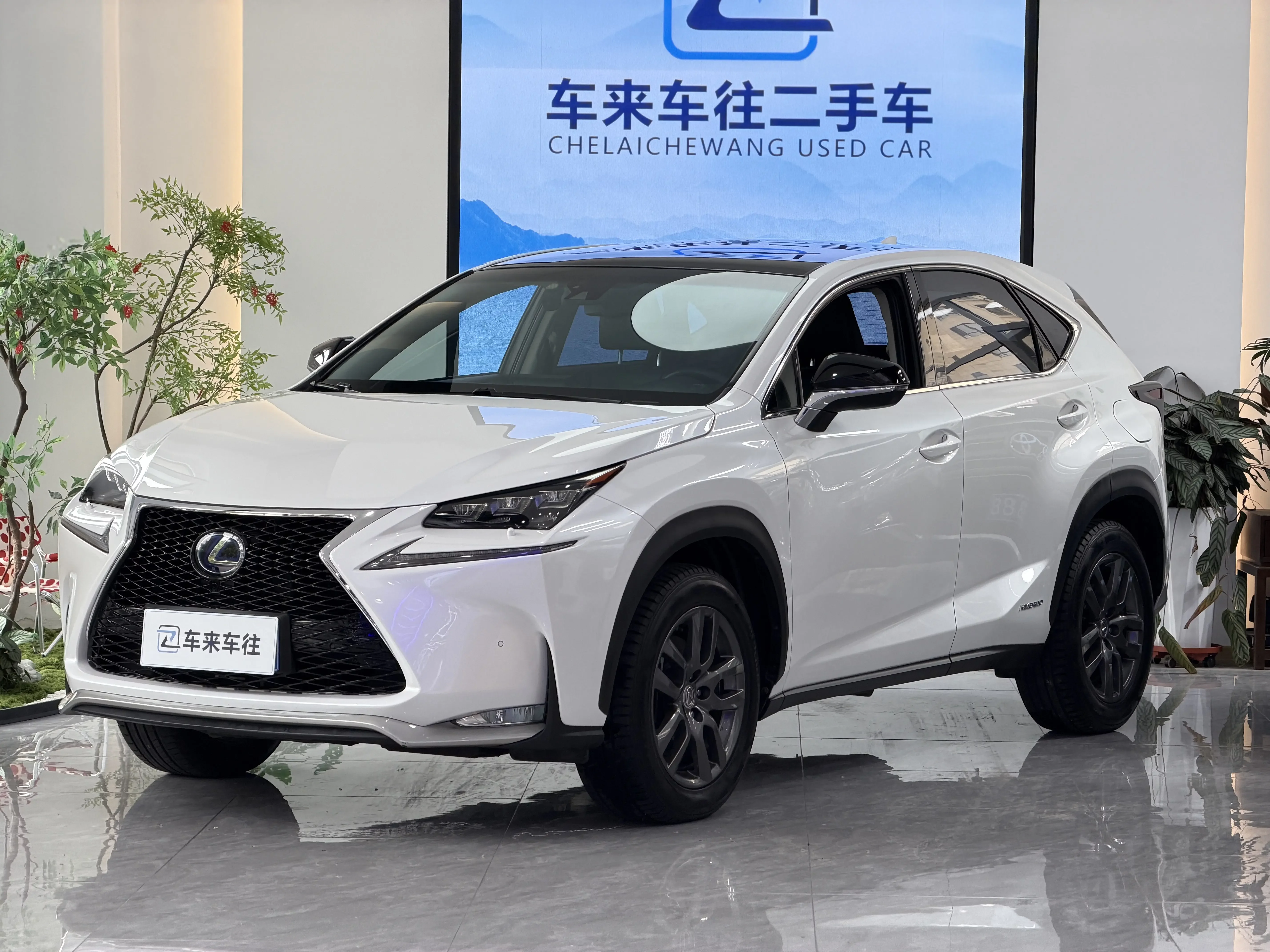 Lexus NX