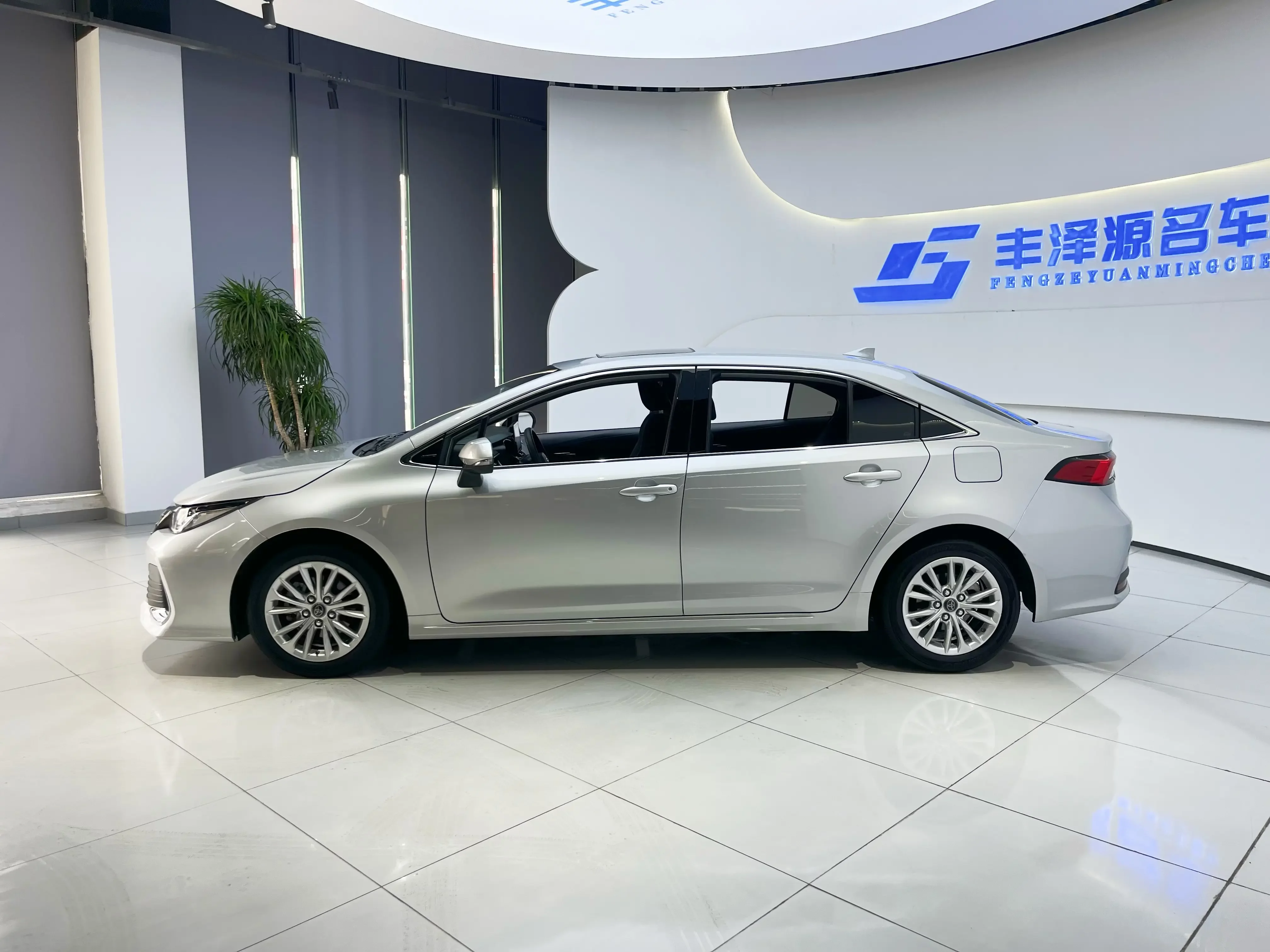 Toyota Asiatic lion