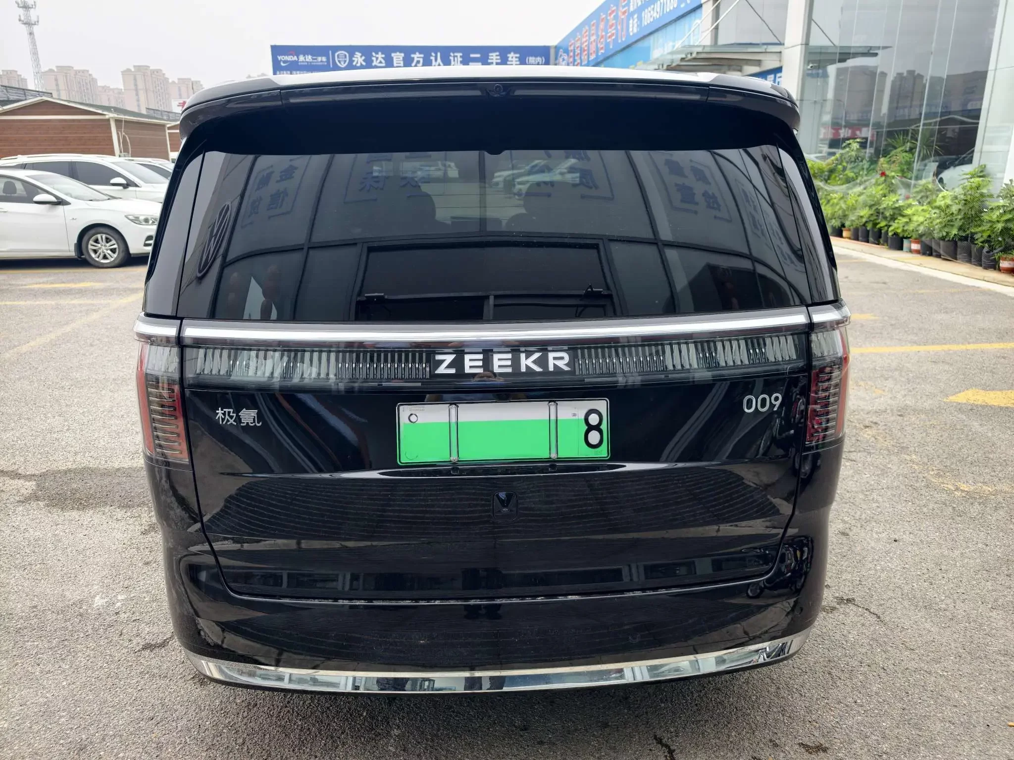 ZEEKR 009