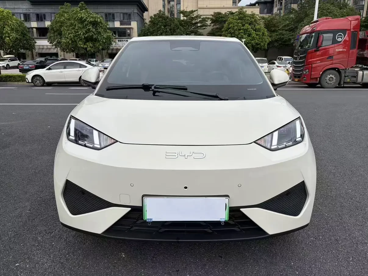 BYD seagull