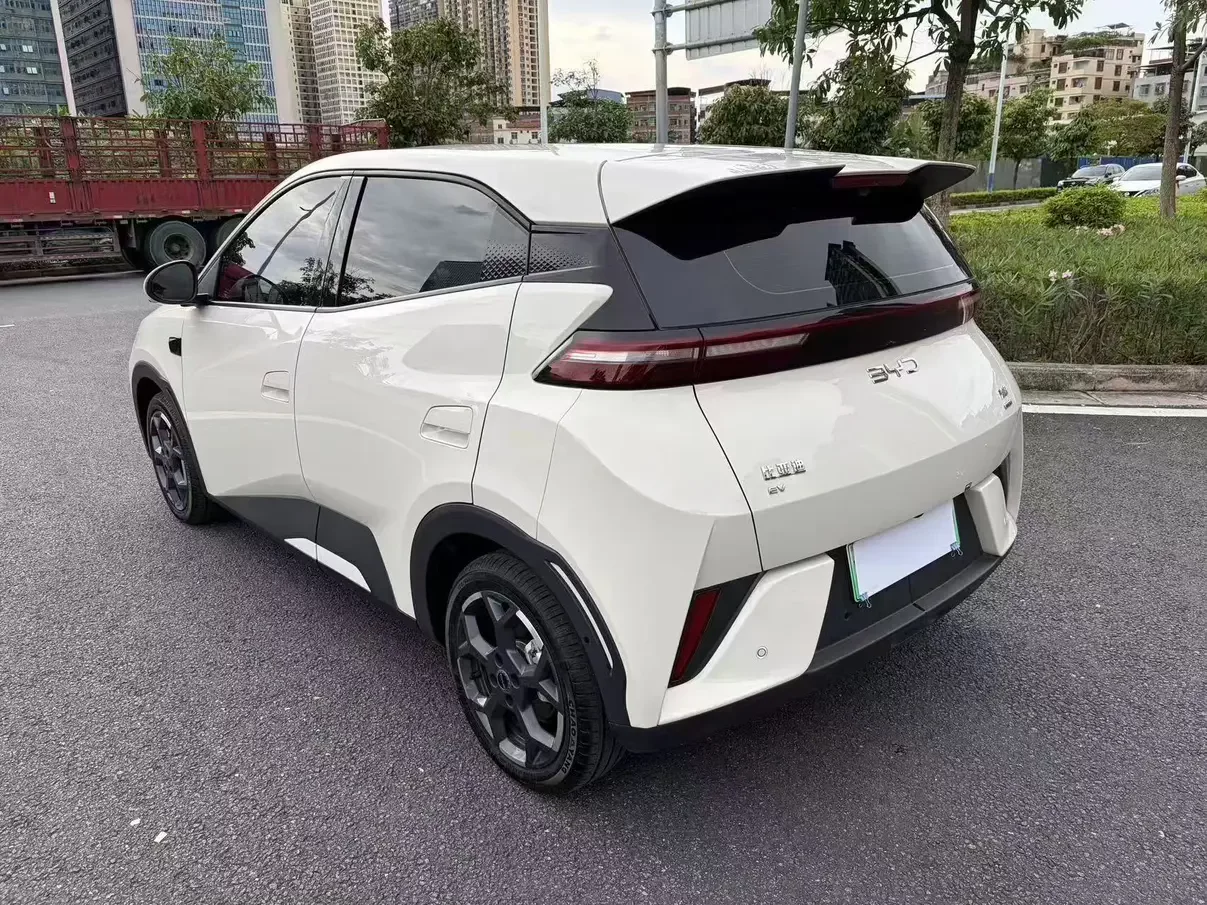 BYD seagull