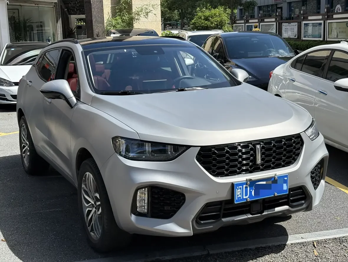 Wey Wei brand VV5