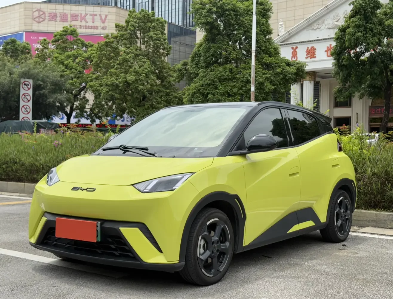 BYD seagull