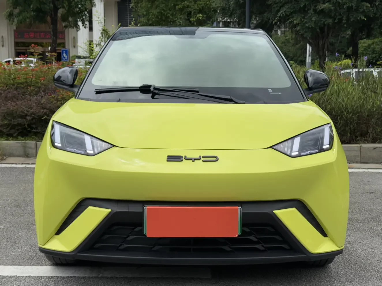 BYD seagull