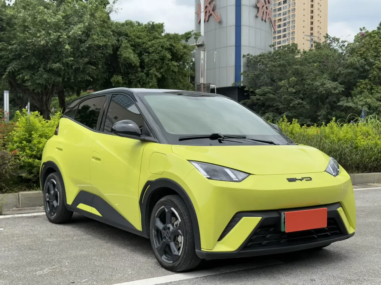 BYD seagull
