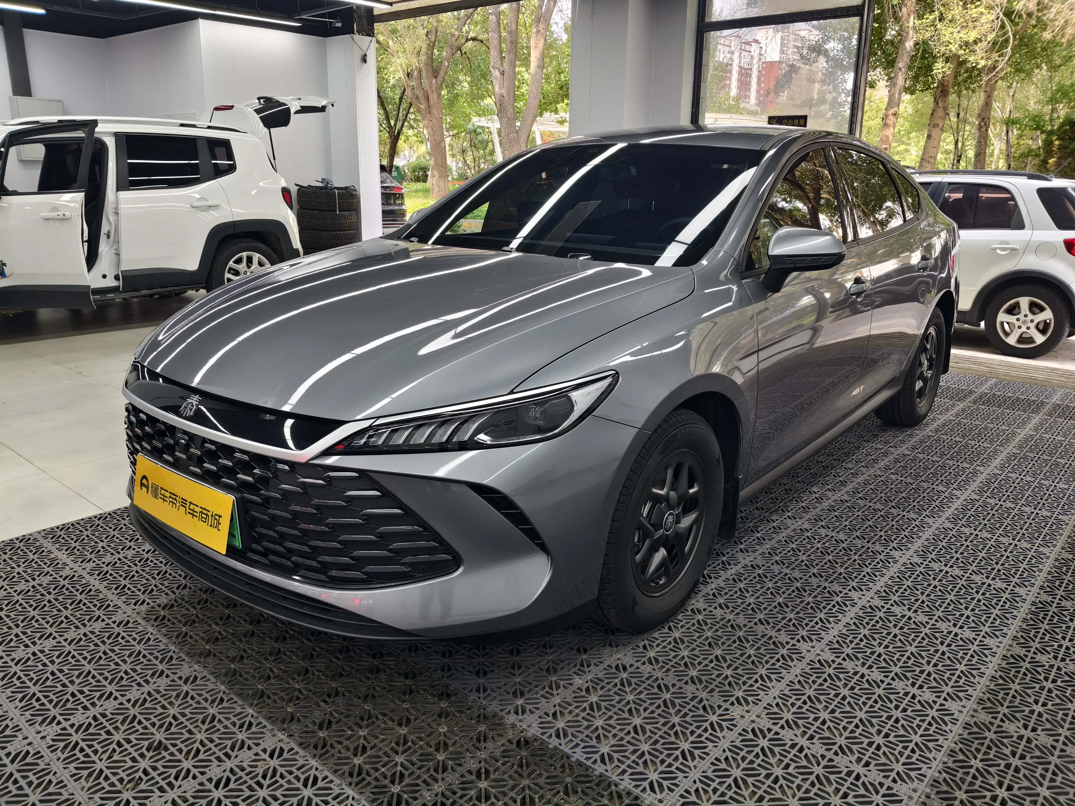 BYD Qin PLUS DM