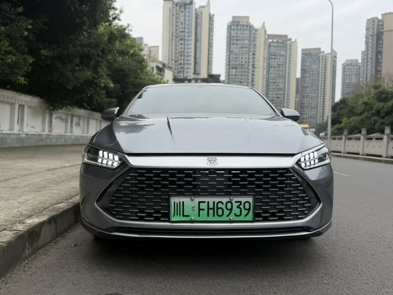 BYD Qin PLUS DM