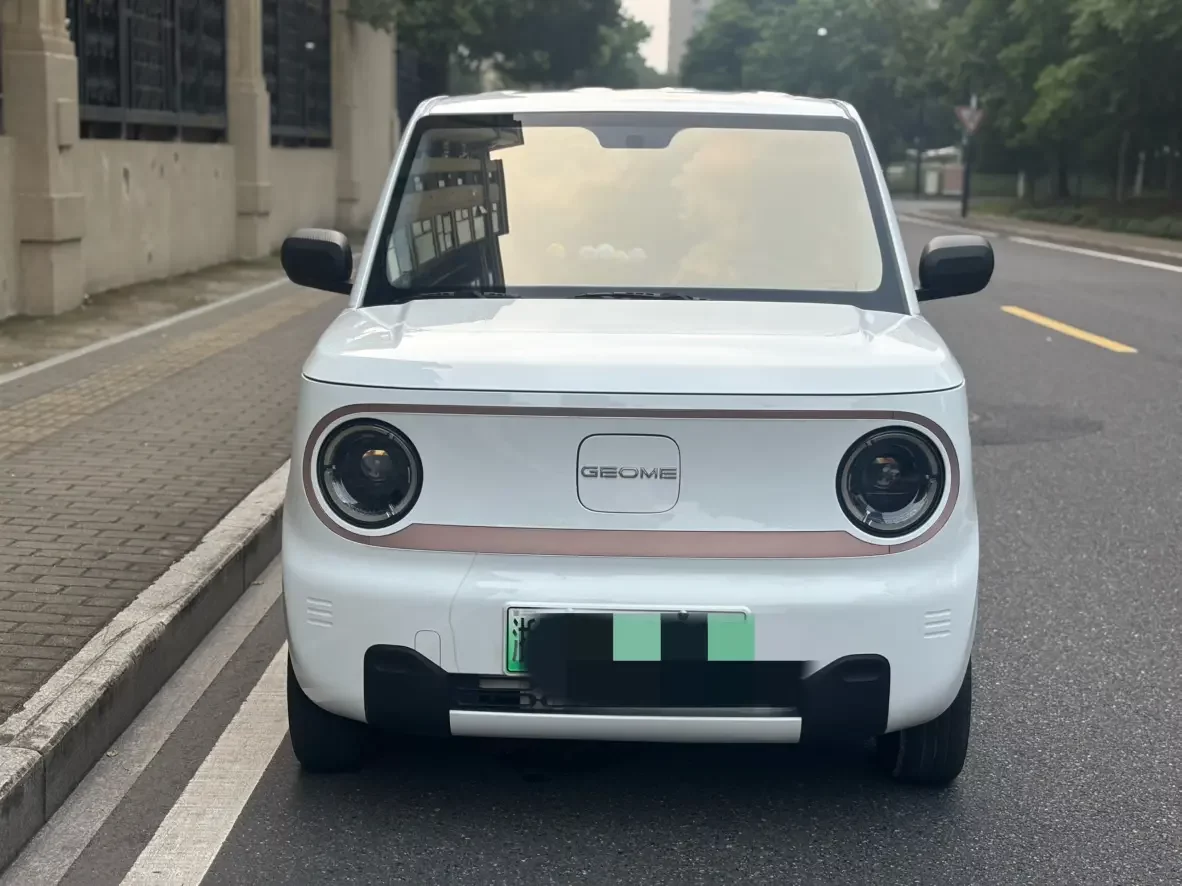 Geely panda