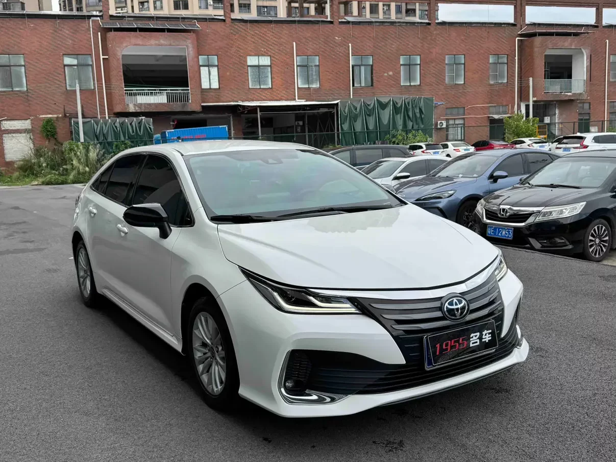 Toyota Asiatic lion