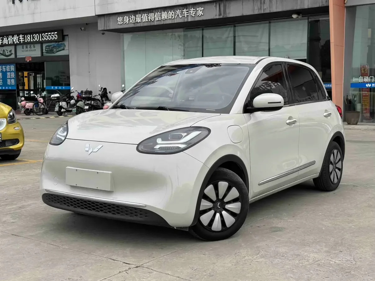 Wuling Bingo