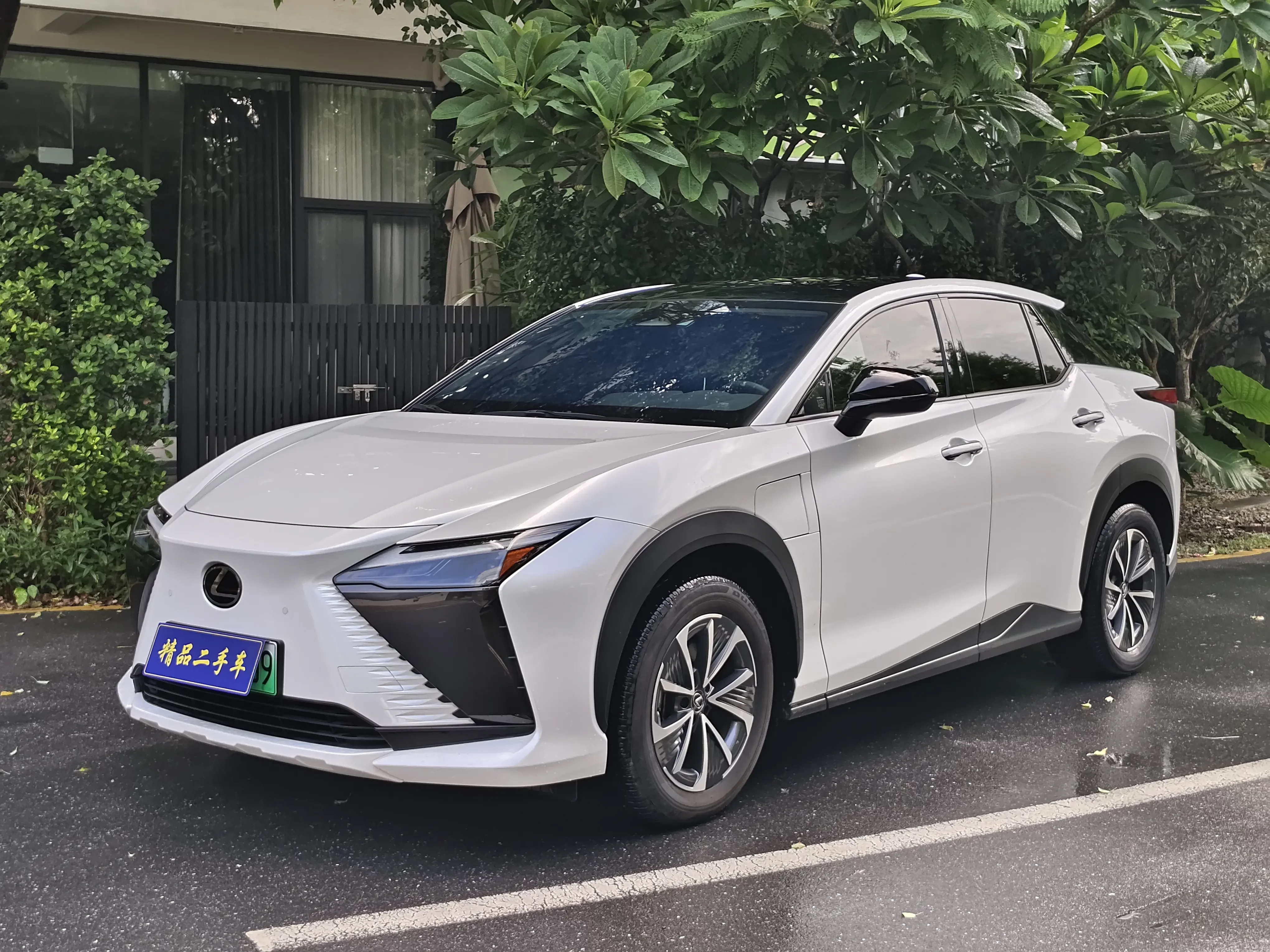 Lexus RZ