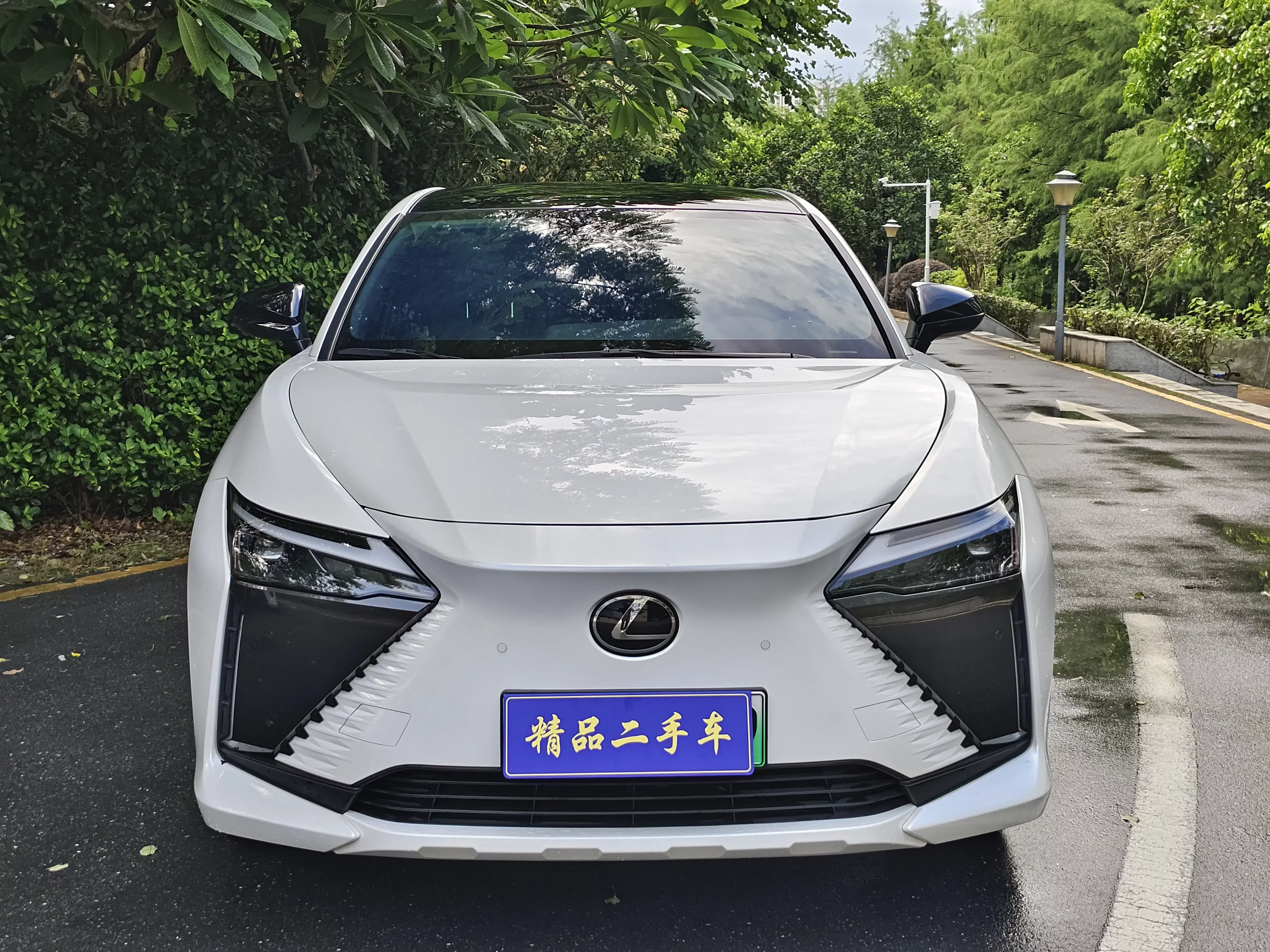 Lexus RZ