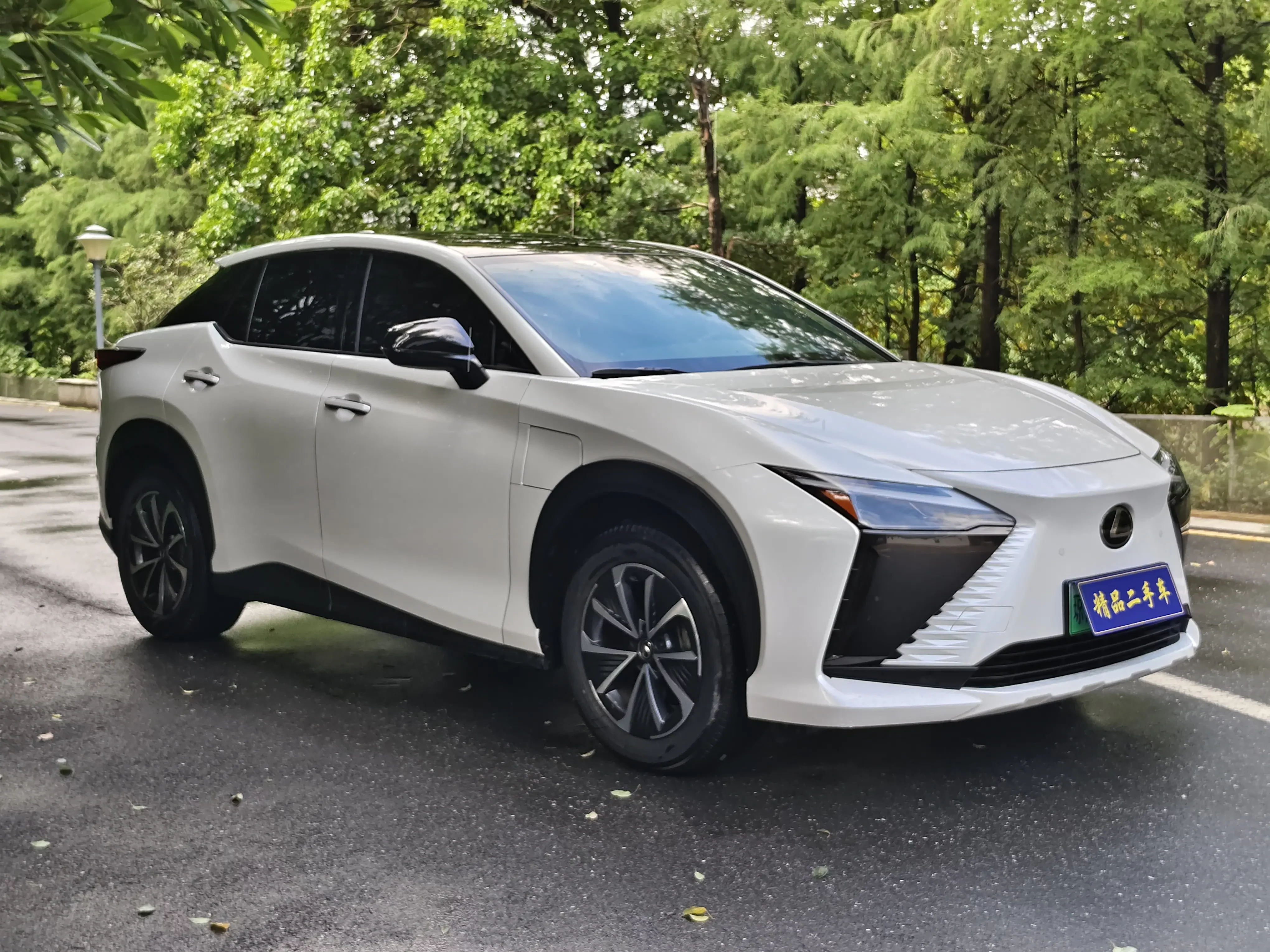 Lexus RZ