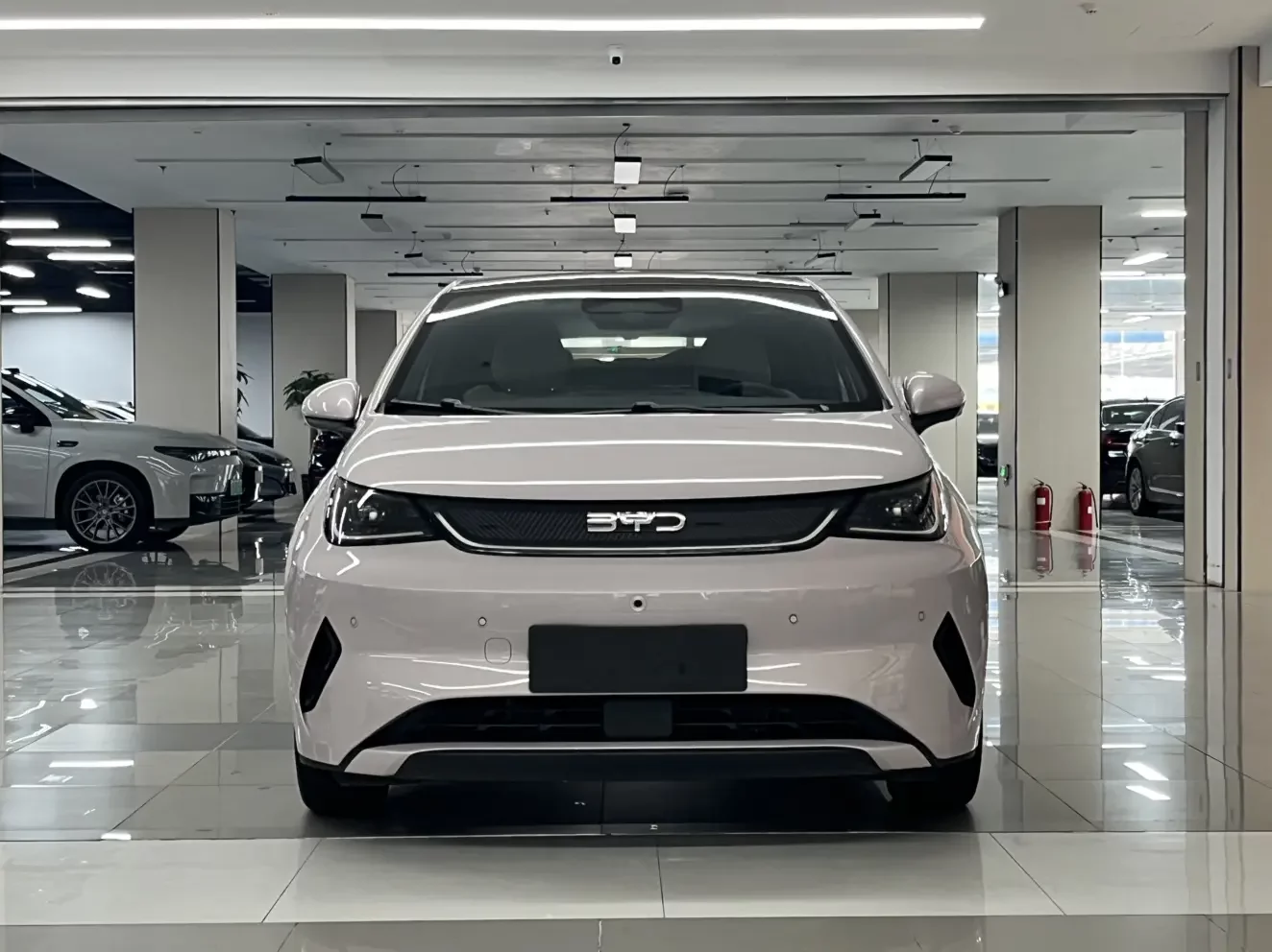 BYD dolphin