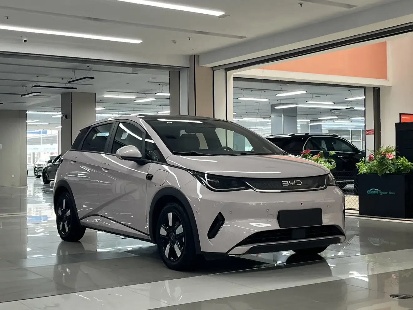 BYD dolphin