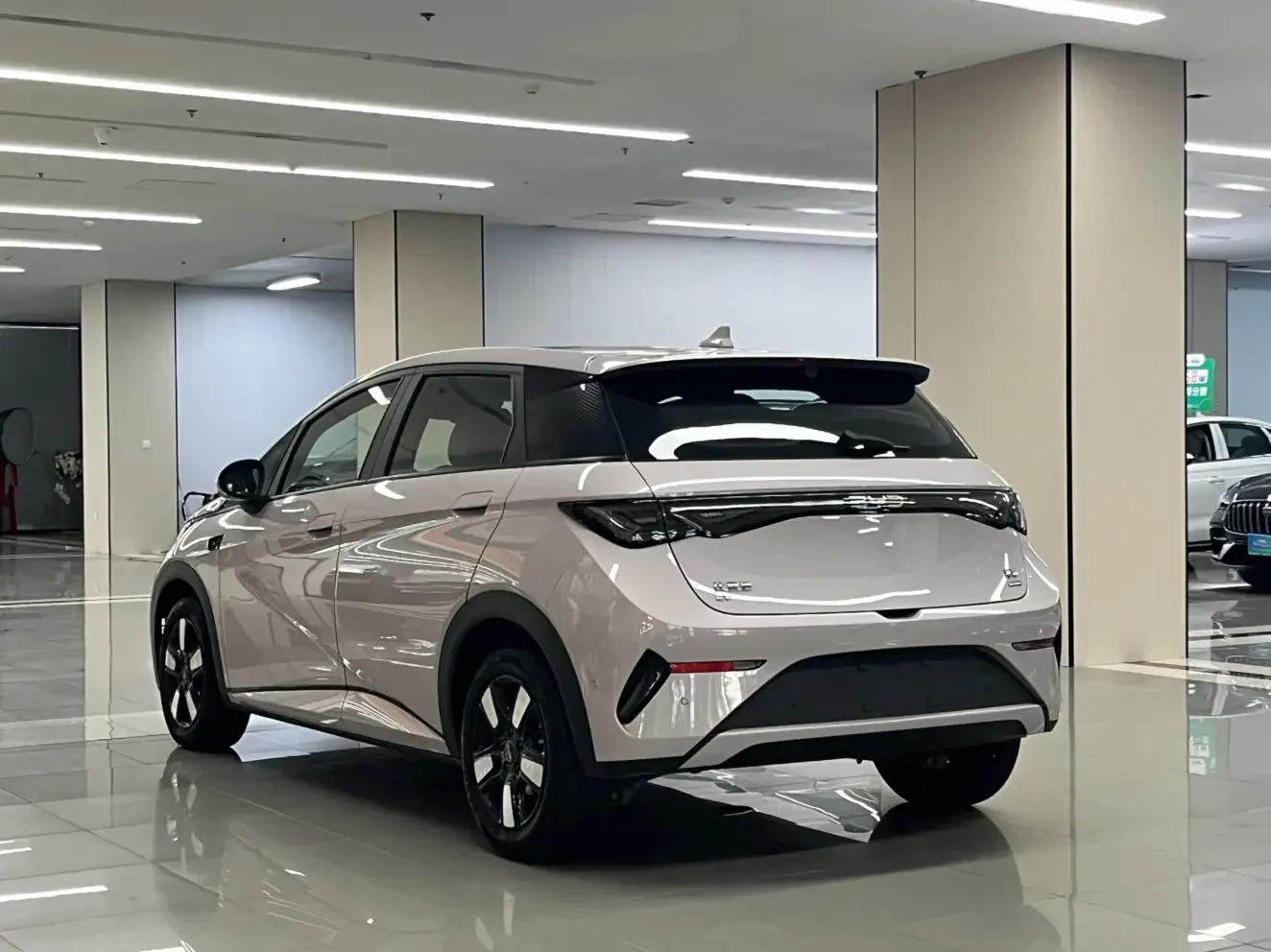 BYD dolphin
