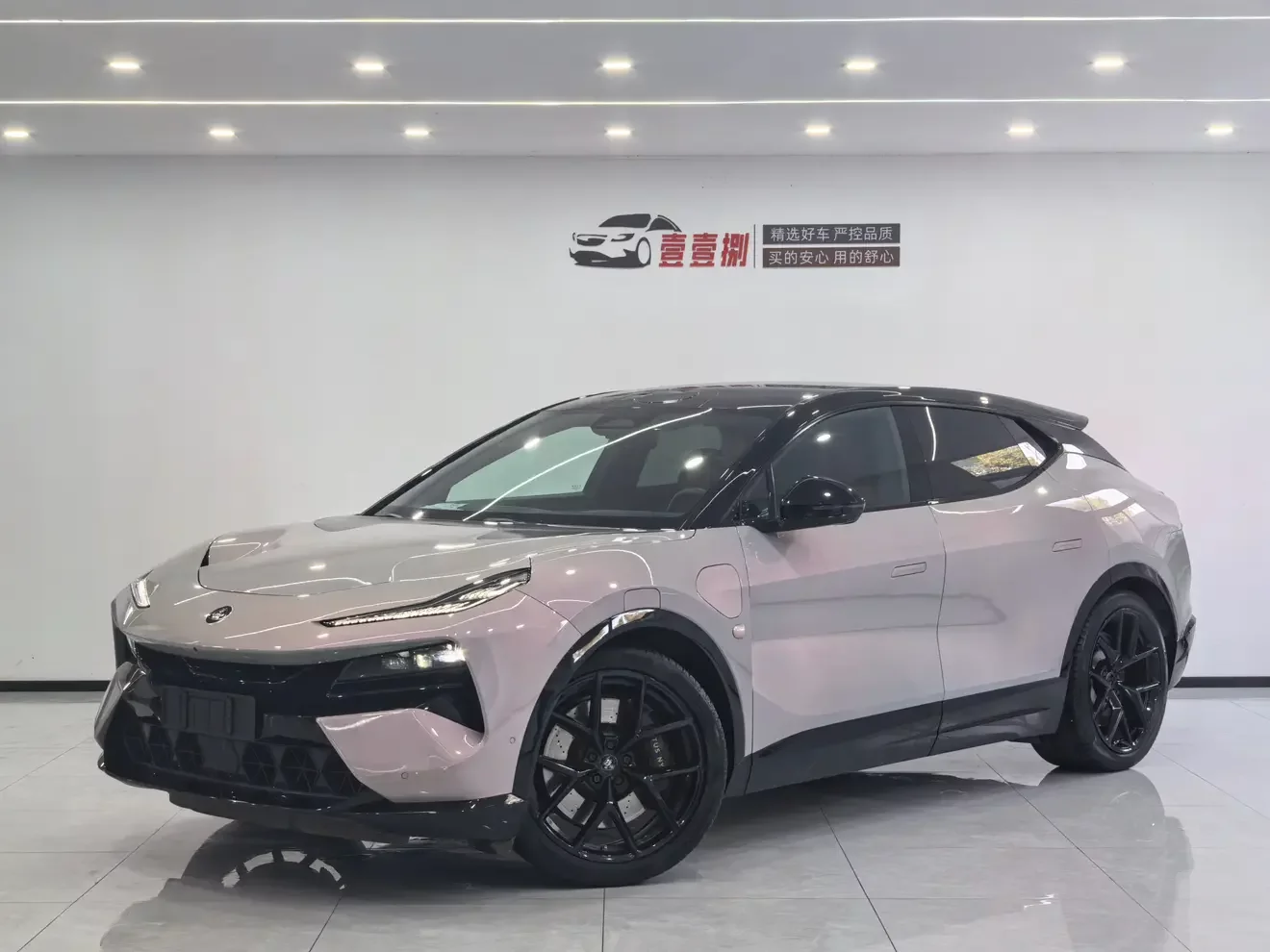 Lotus Eletre