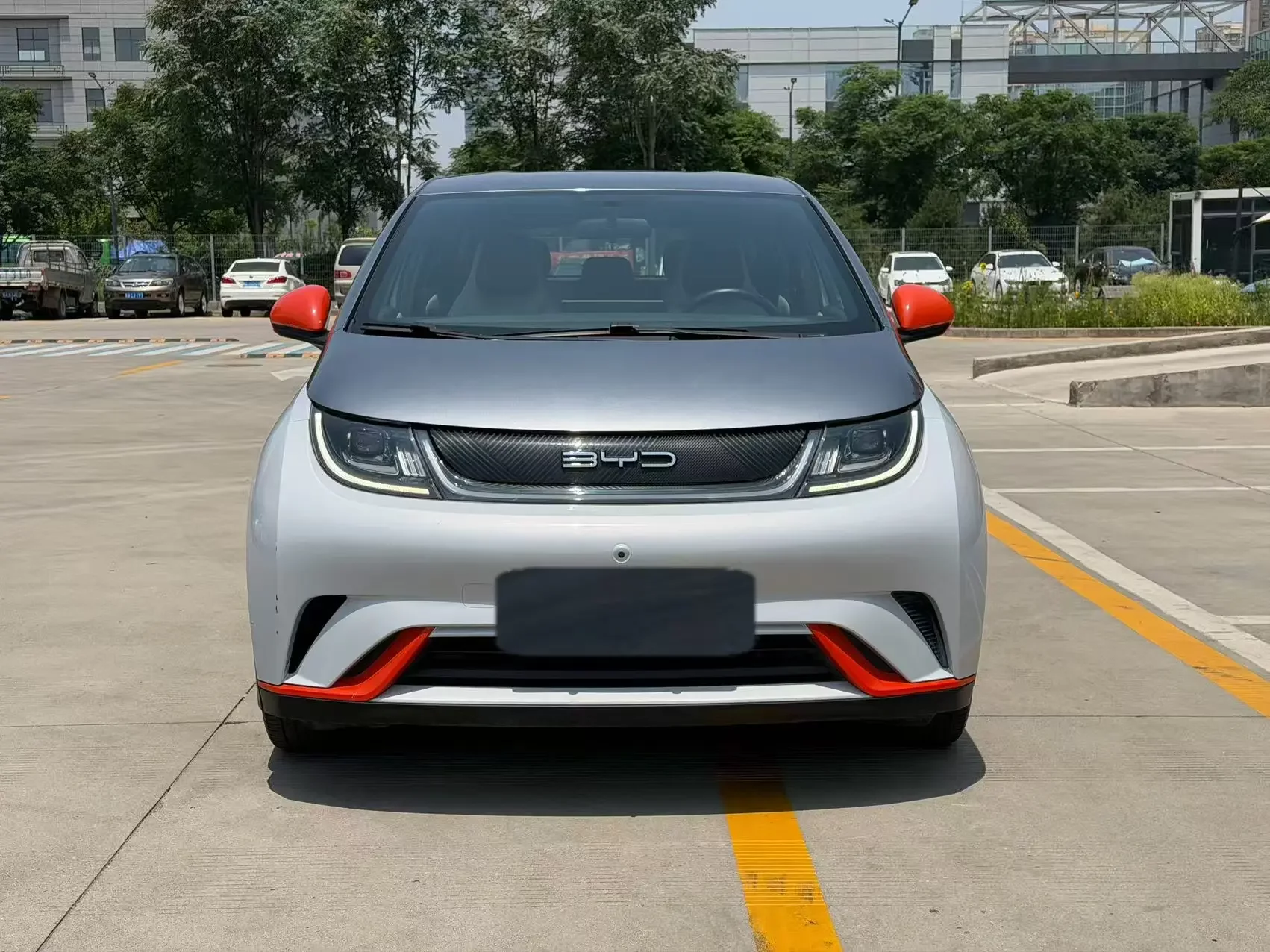 BYD dolphin