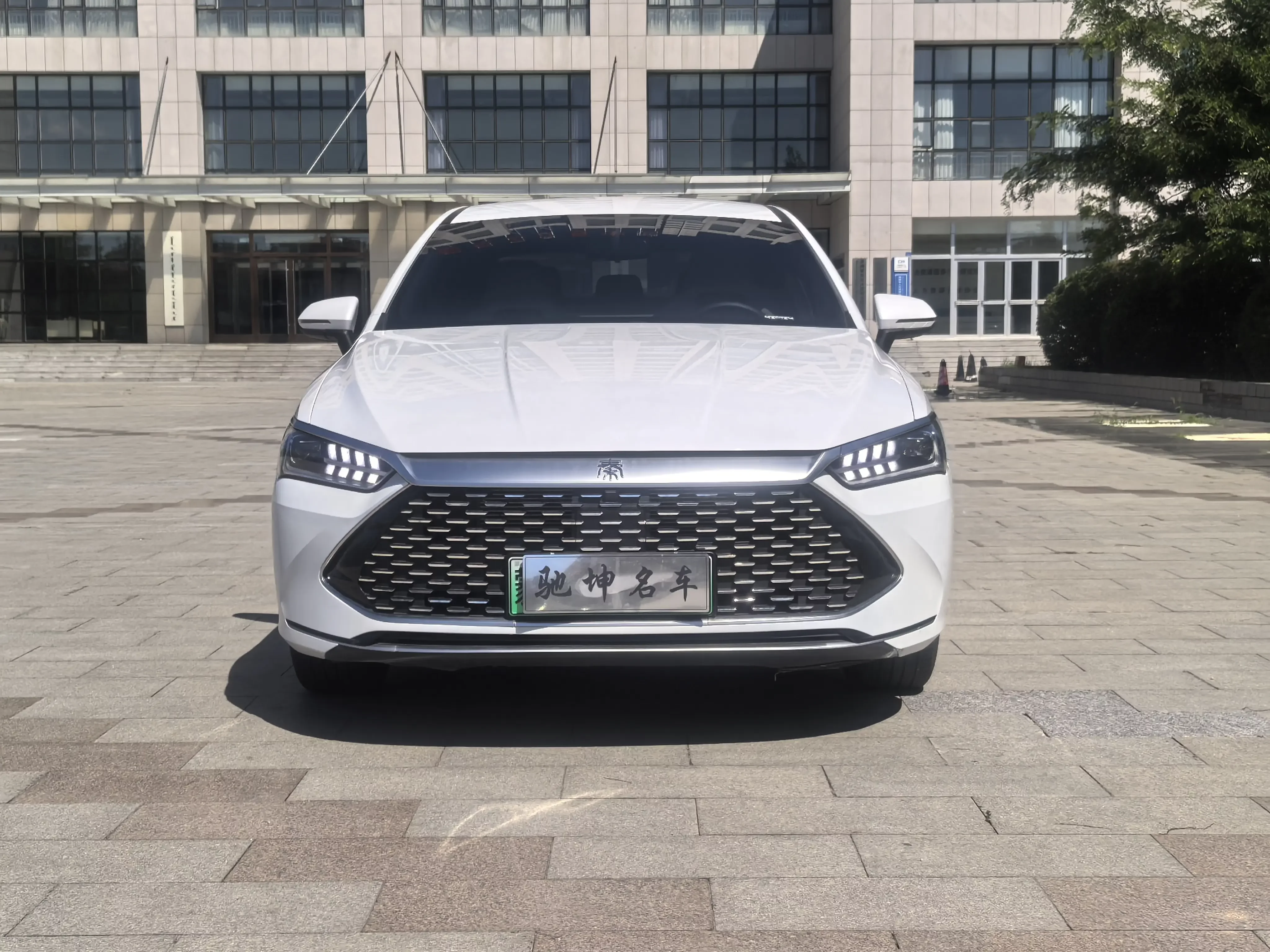 BYD Qin PLUS DM