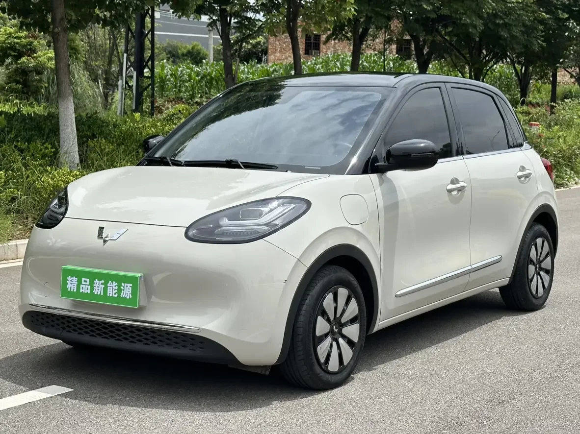 Wuling Bingo