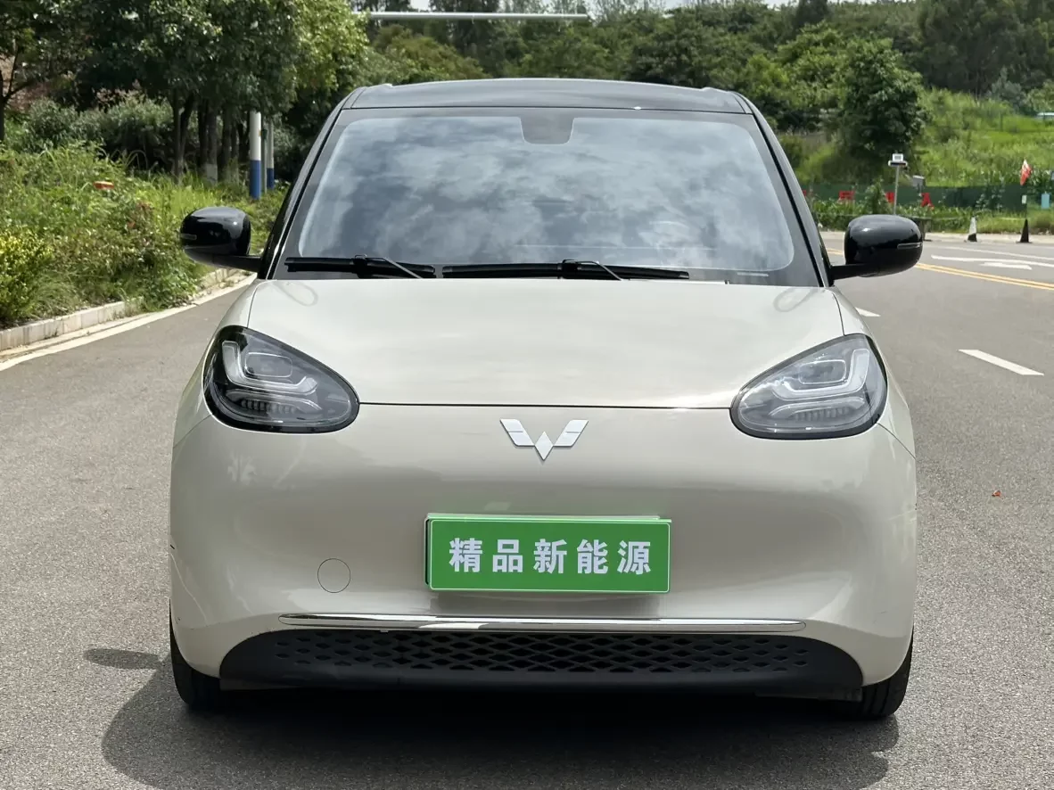 Wuling Bingo