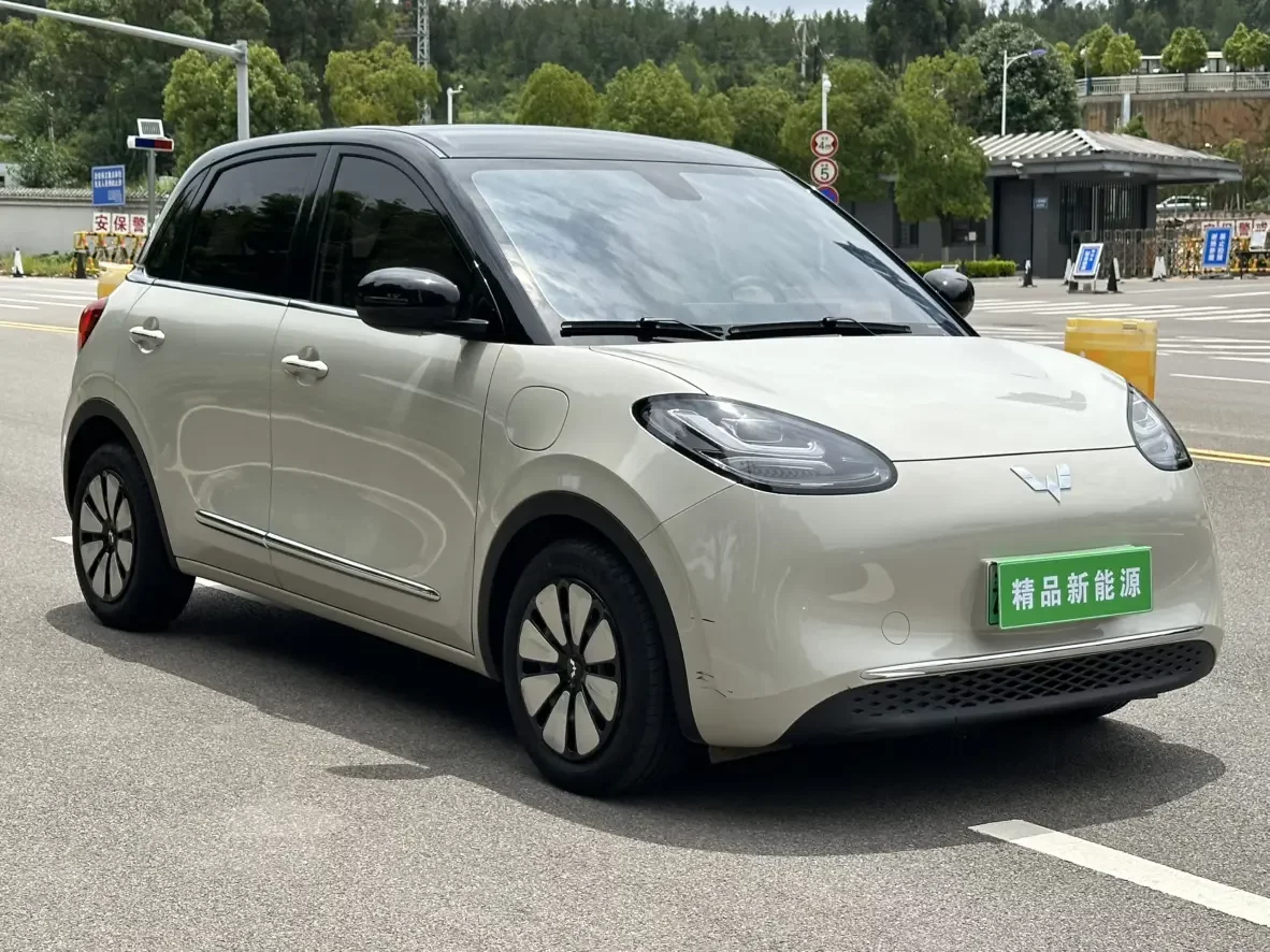 Wuling Bingo