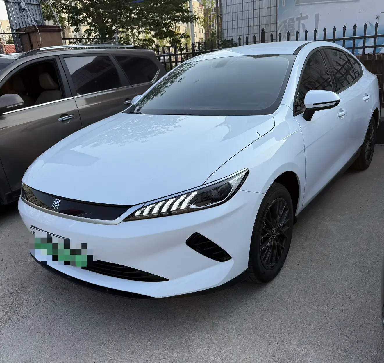 BYD Qin PLUS EV