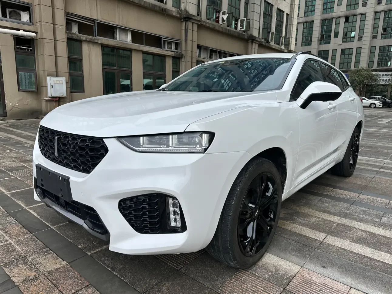 Wey Wei brand VV7