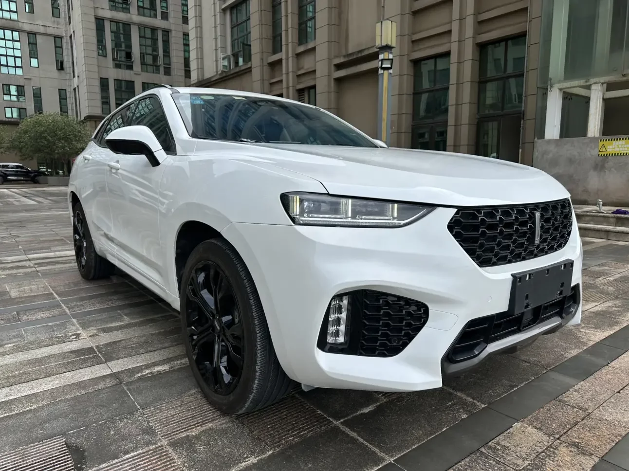 Wey Wei brand VV7