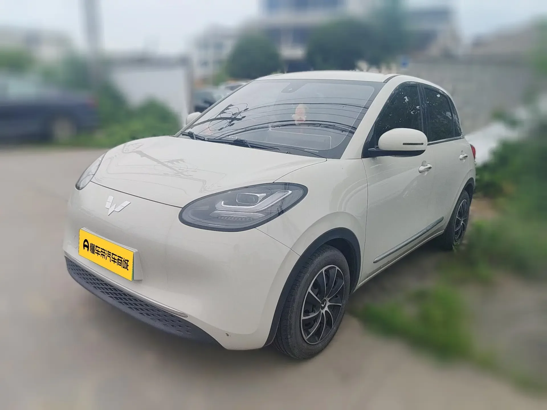 Wuling Bingo